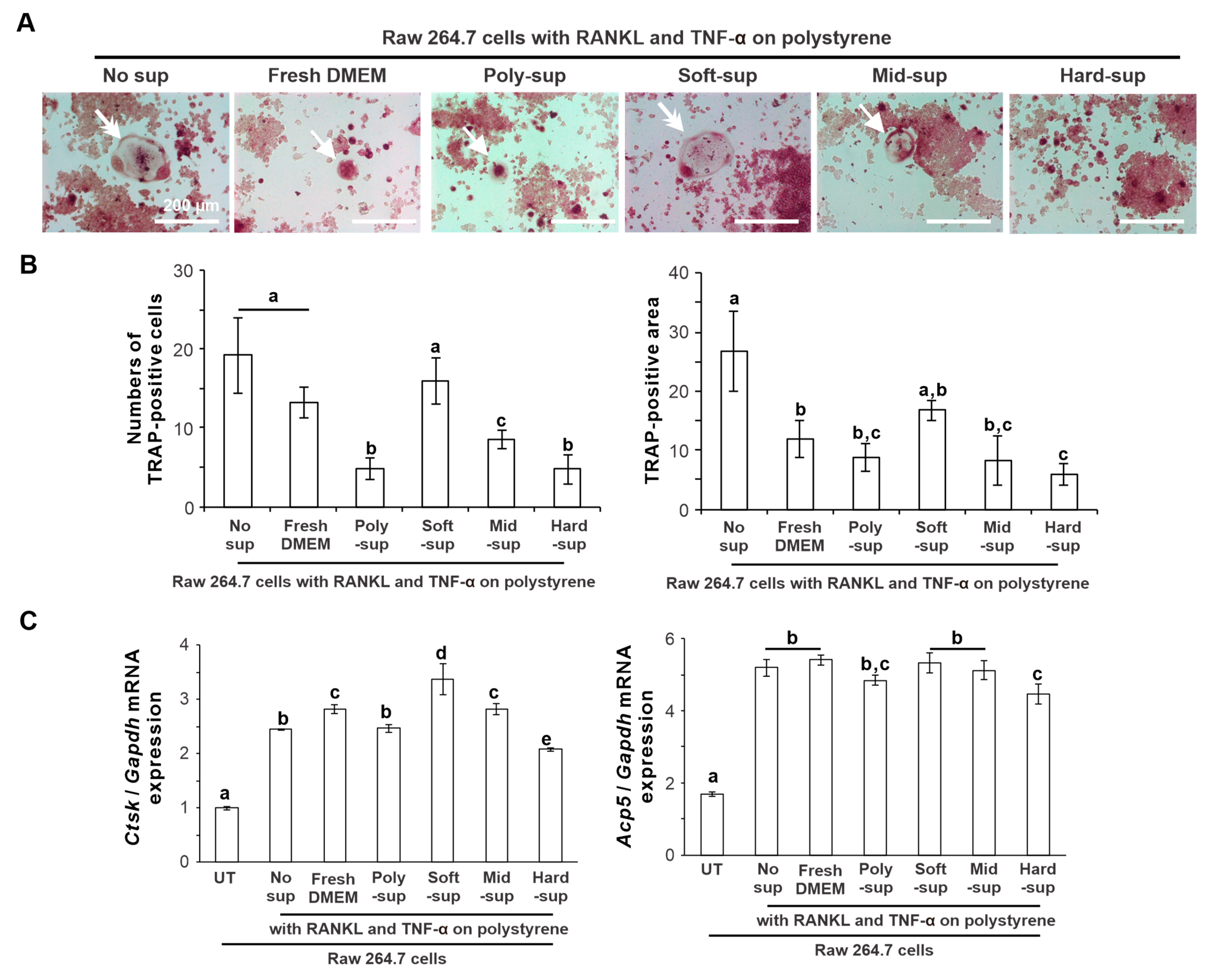 Ijms 24 08959 g004 Ijms 24 08959 g004