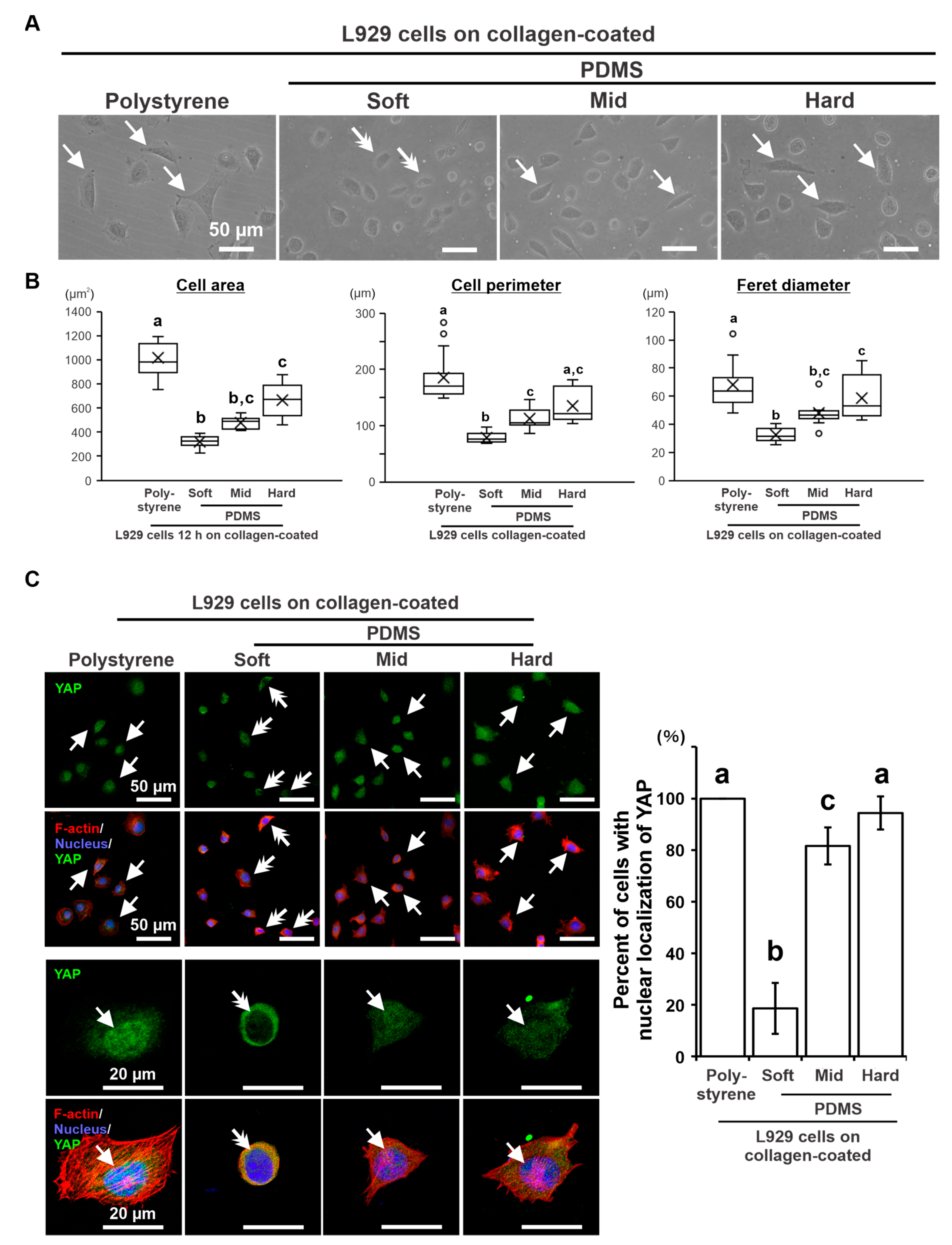 Ijms 24 08959 g005 Ijms 24 08959 g005