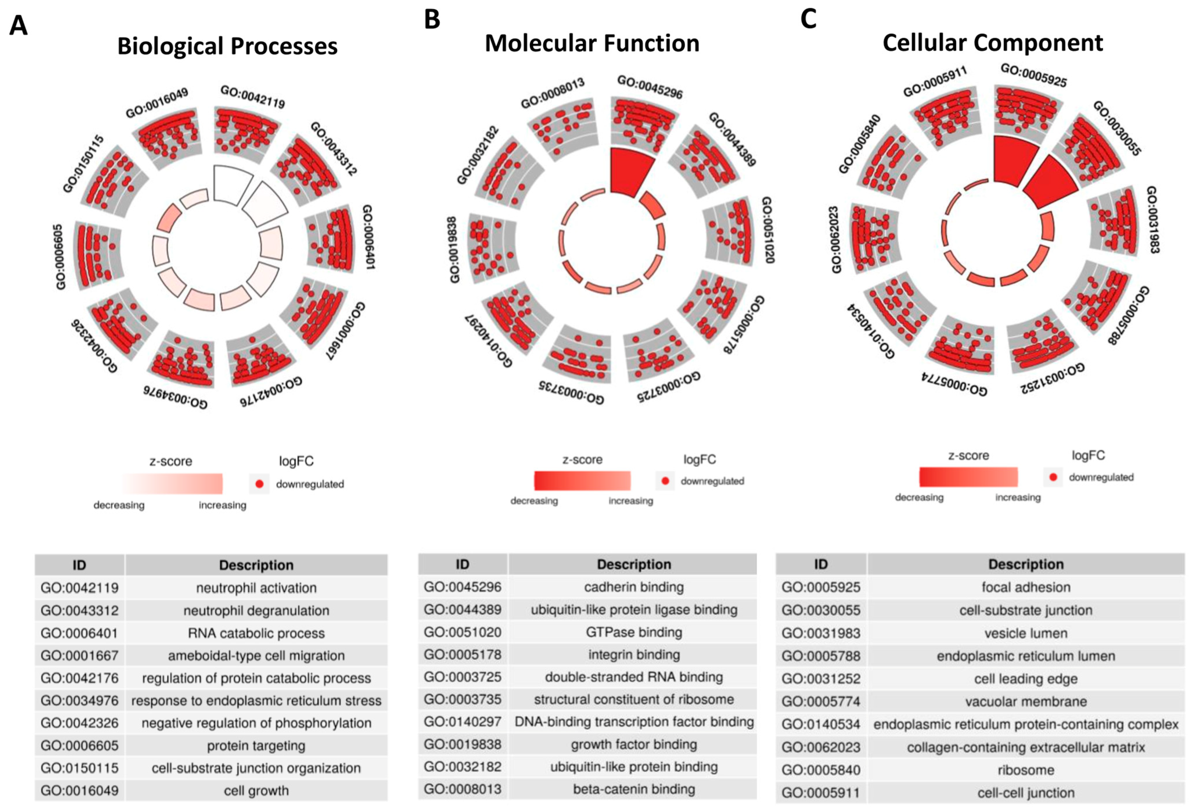 Ijms 24 08961 g003 Ijms 24 08961 g003