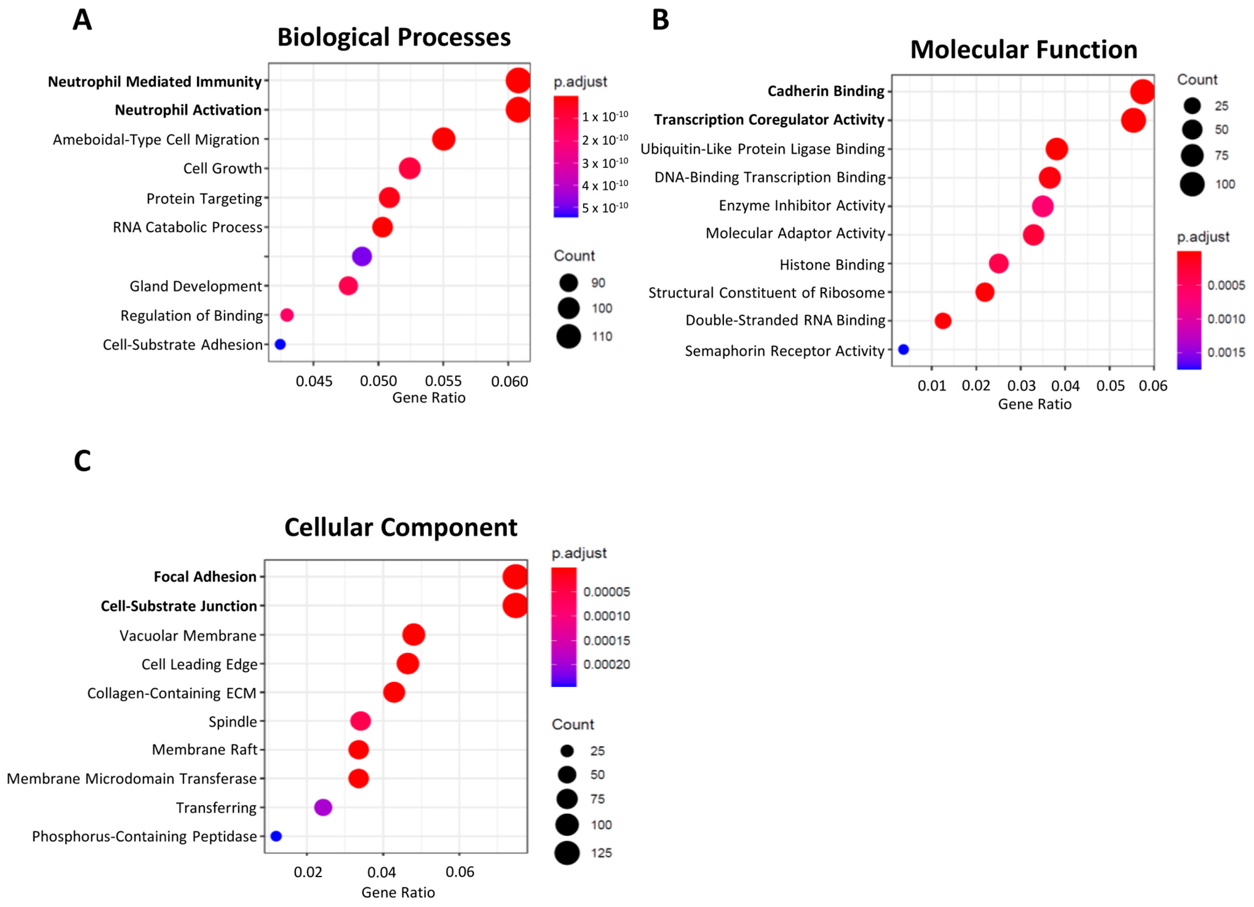 Ijms 24 08961 g004 Ijms 24 08961 g004