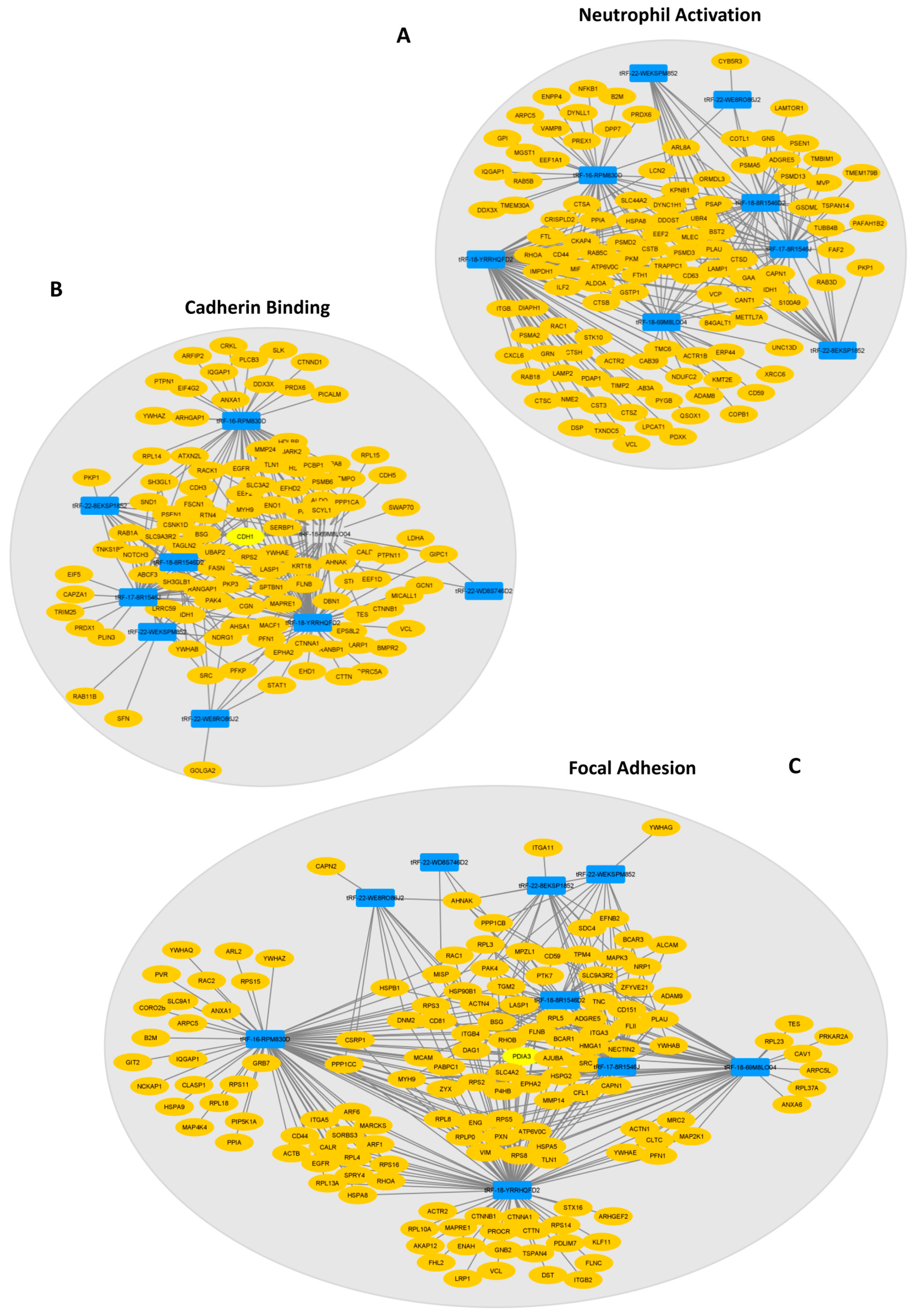 Ijms 24 08961 g005 Ijms 24 08961 g005
