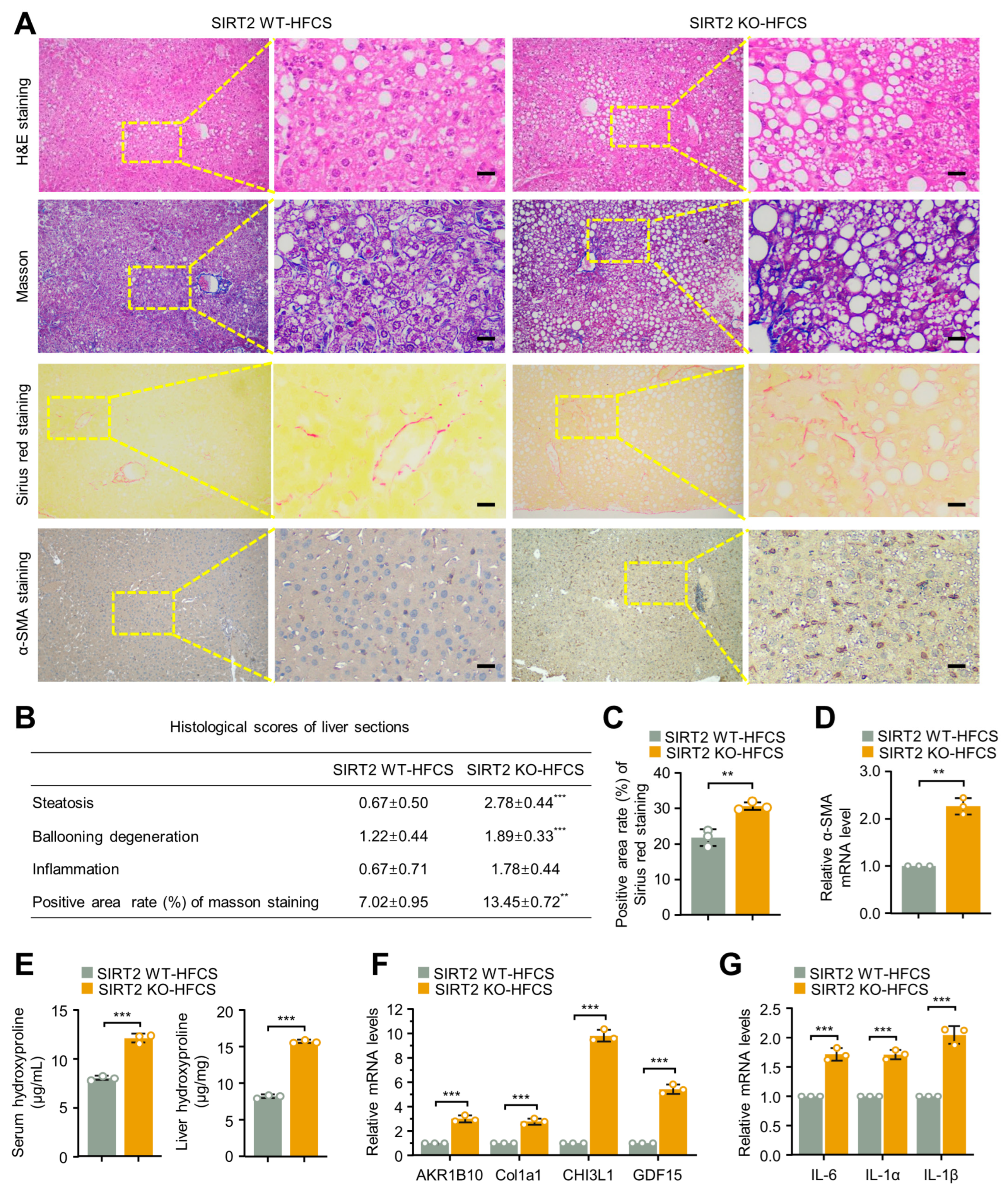 Ijms 24 08970 g004 Ijms 24 08970 g004