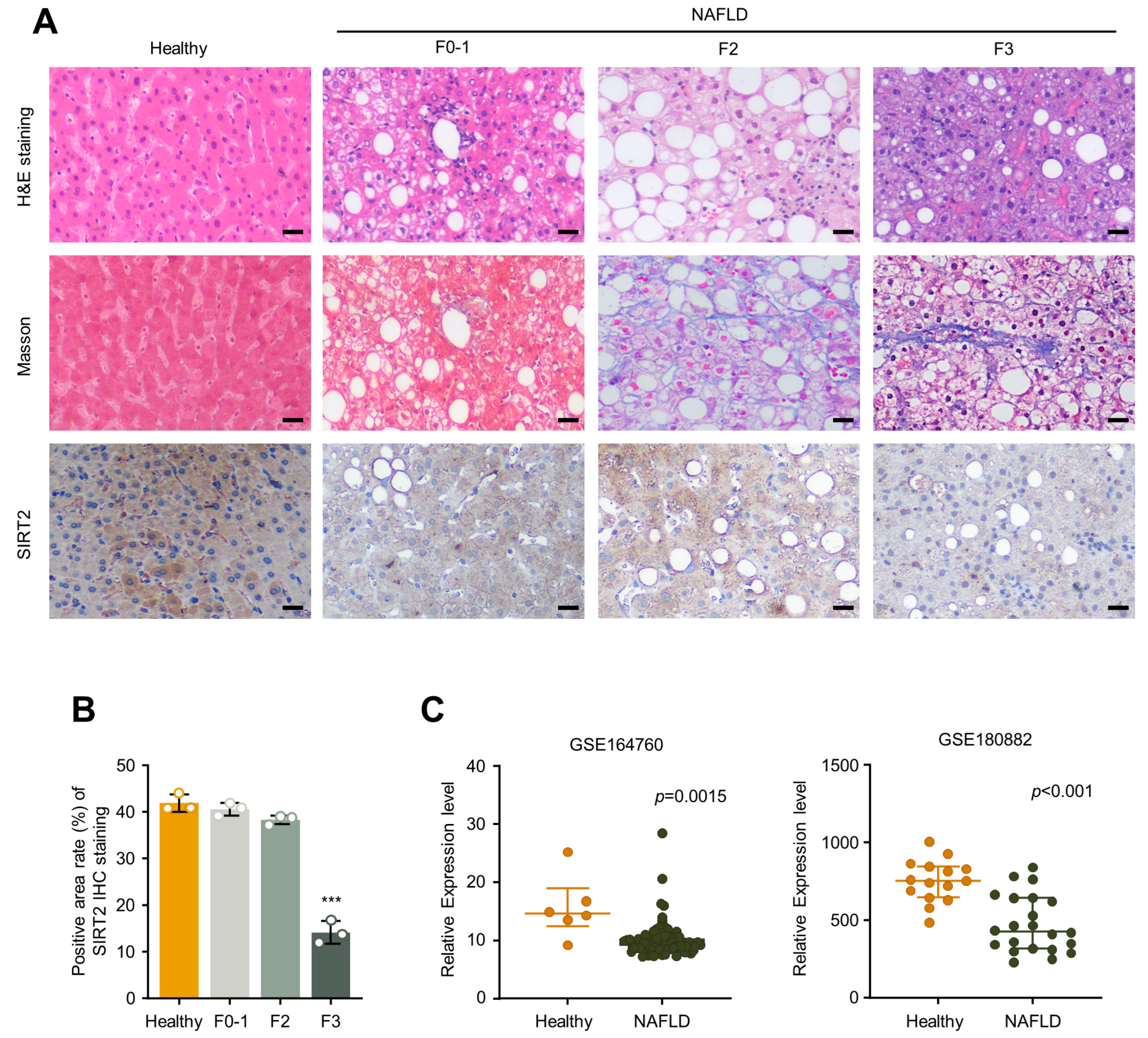 Ijms 24 08970 g006 Ijms 24 08970 g006