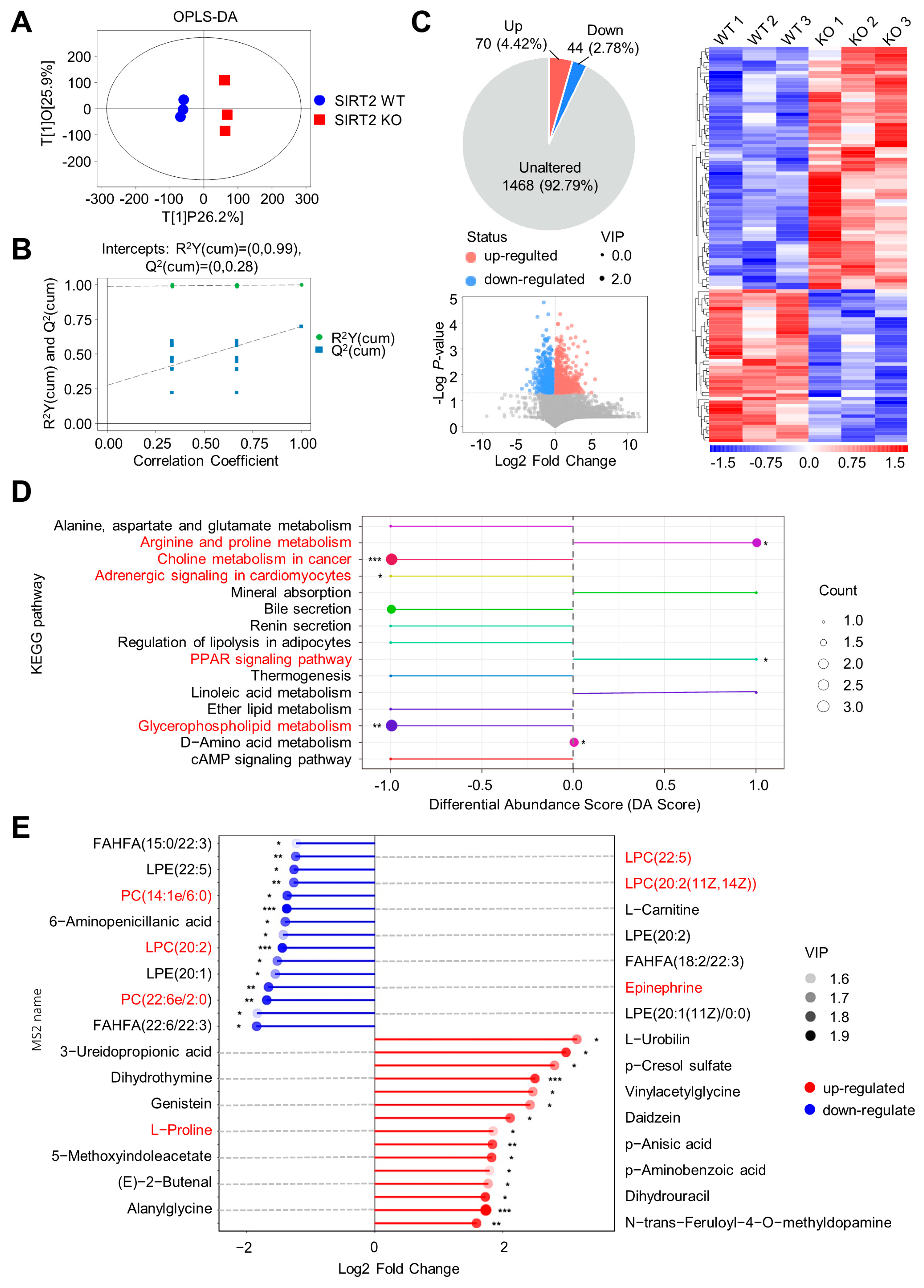 Ijms 24 08970 g007 Ijms 24 08970 g007