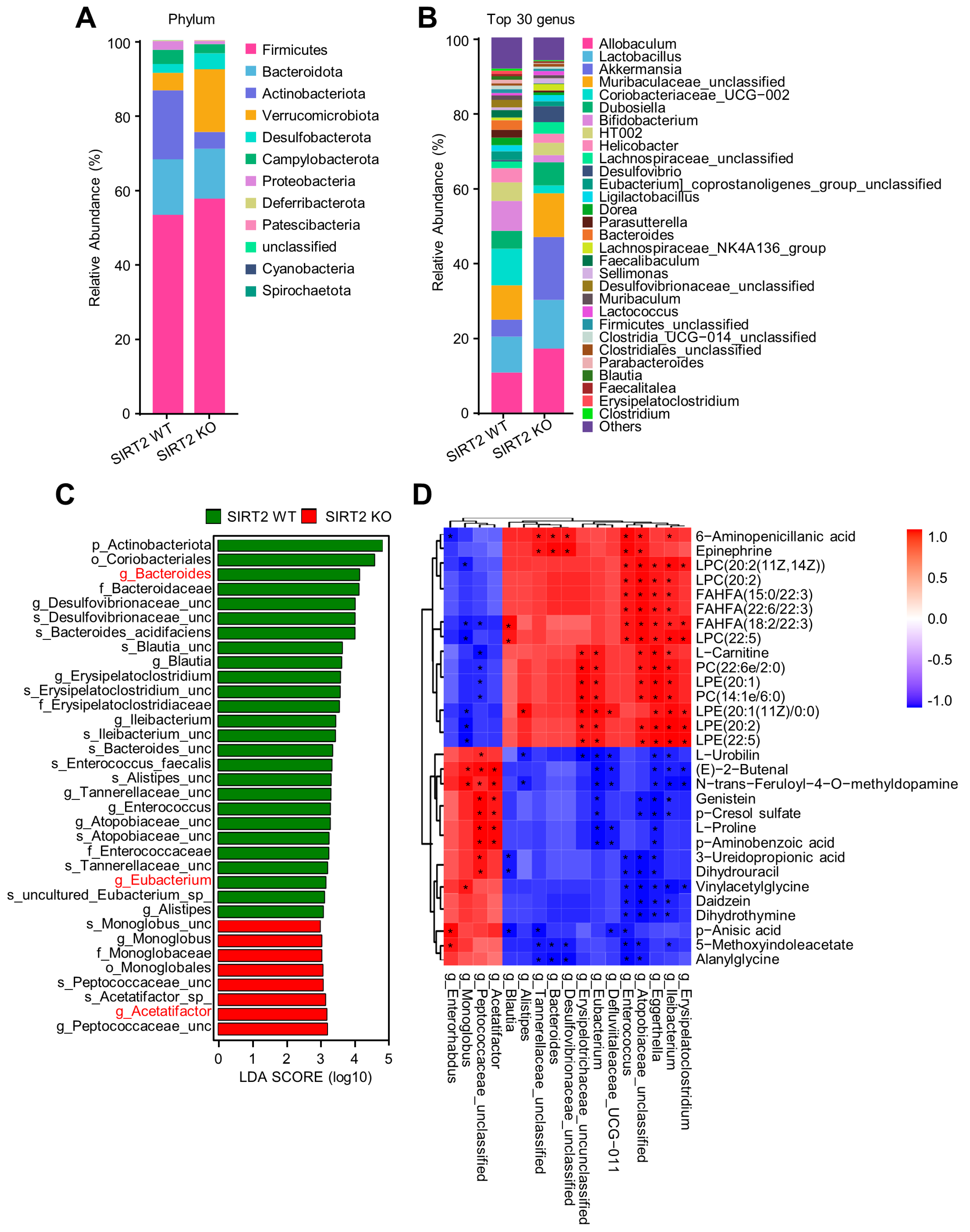 Ijms 24 08970 g008 Ijms 24 08970 g008