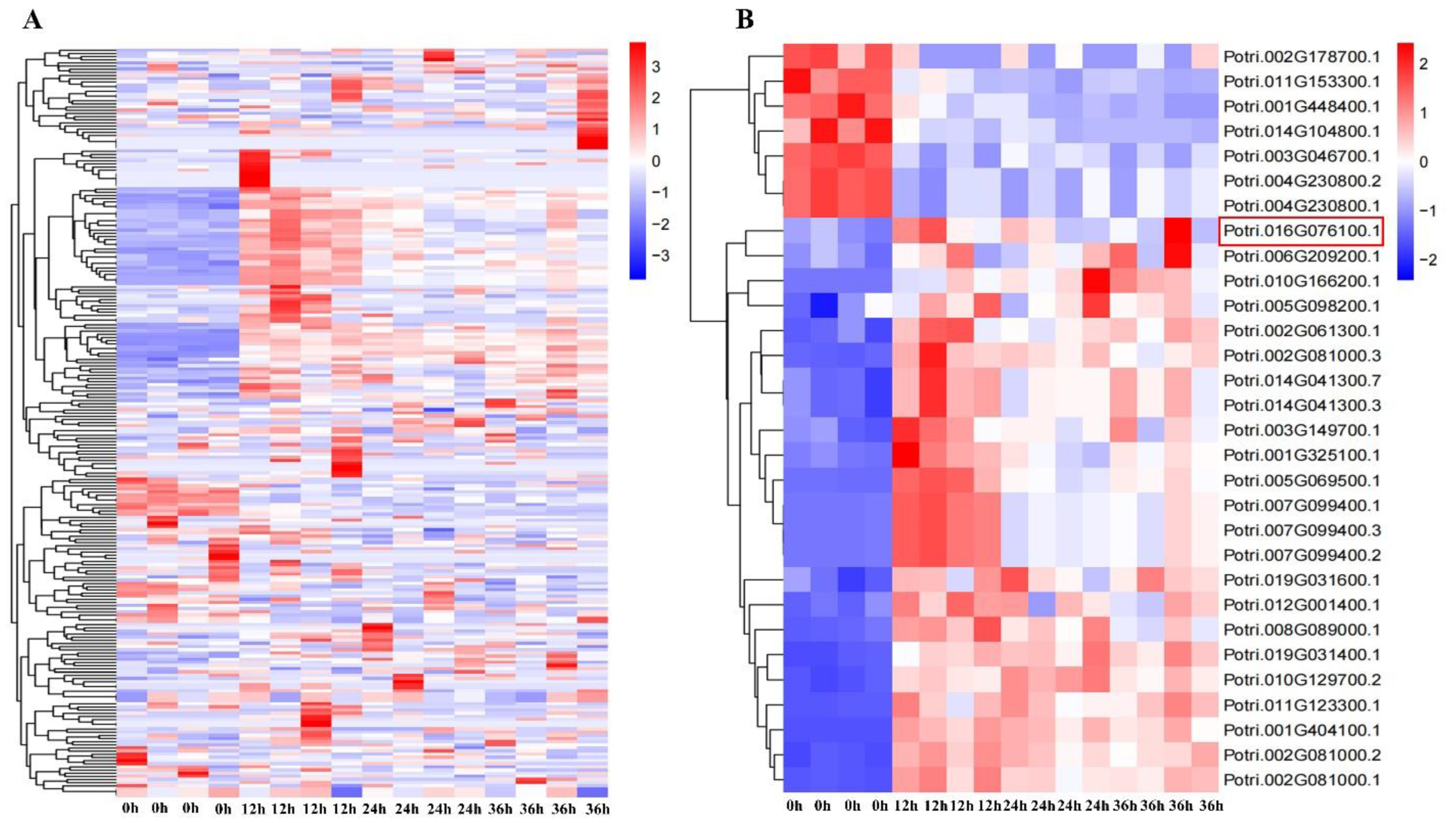 Ijms 24 08985 g001 Ijms 24 08985 g001