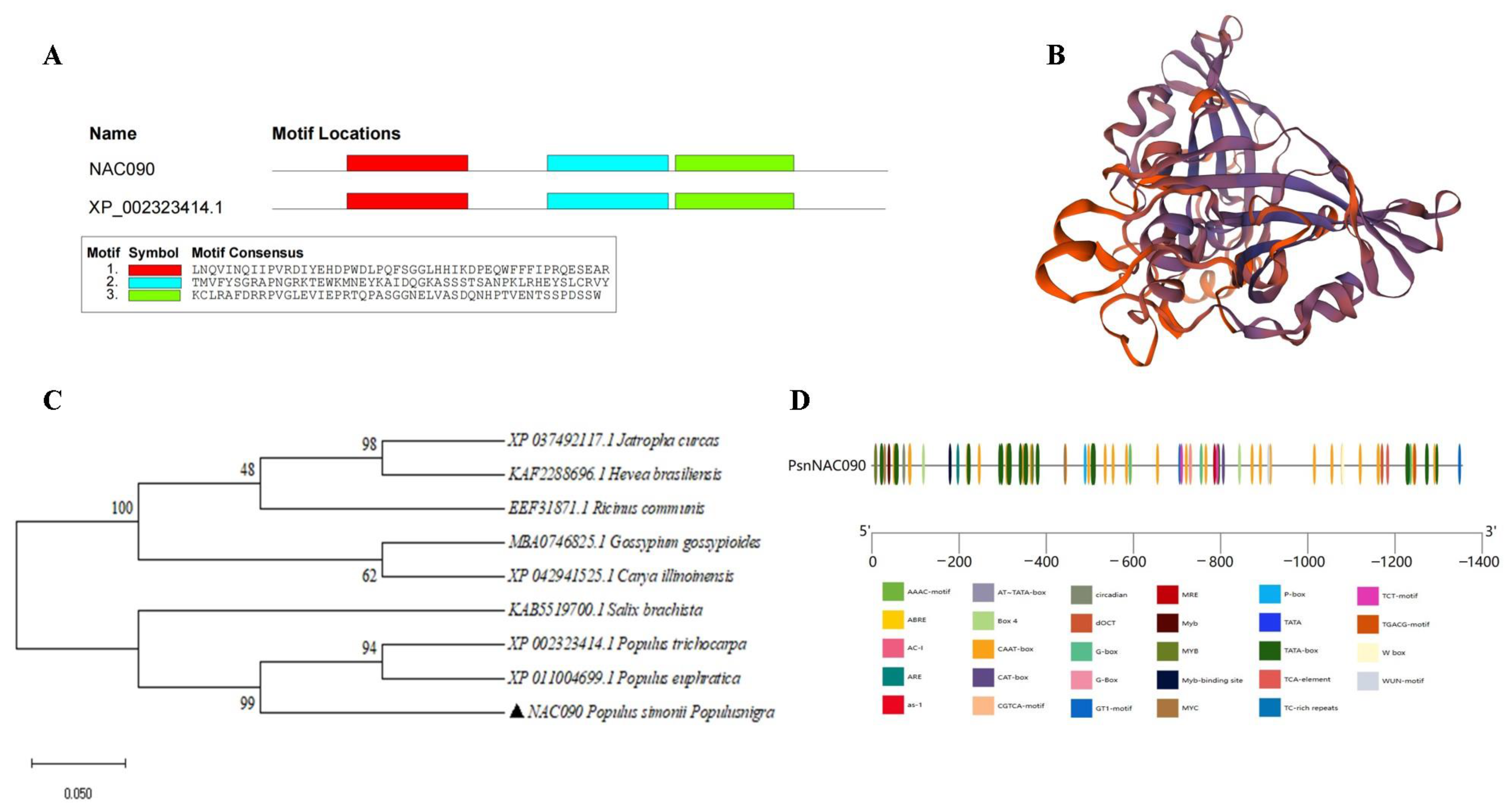Ijms 24 08985 g002 Ijms 24 08985 g002