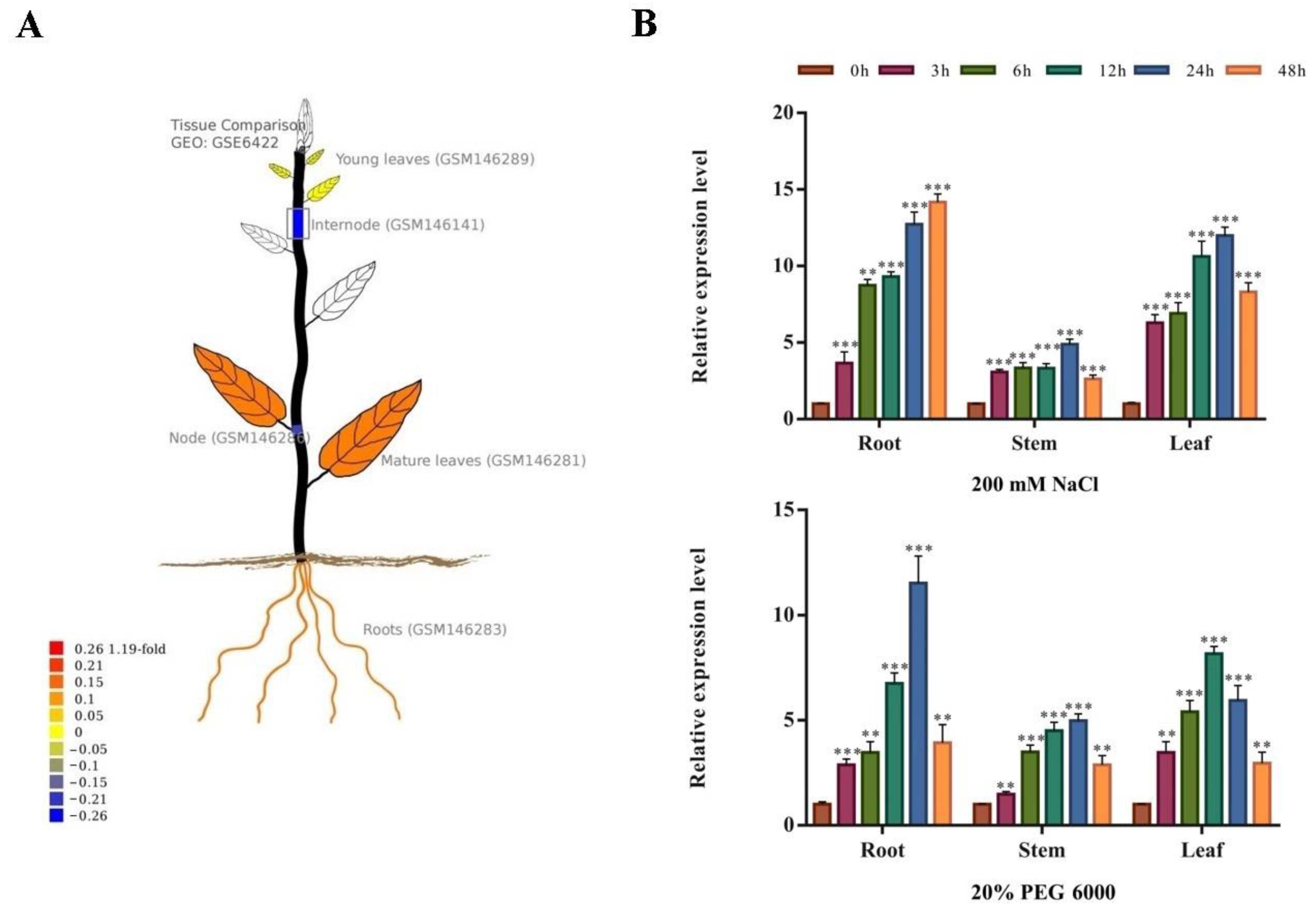 Ijms 24 08985 g003 Ijms 24 08985 g003