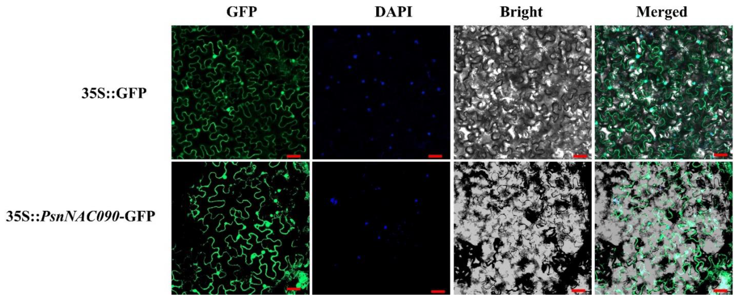 Ijms 24 08985 g004 Ijms 24 08985 g004