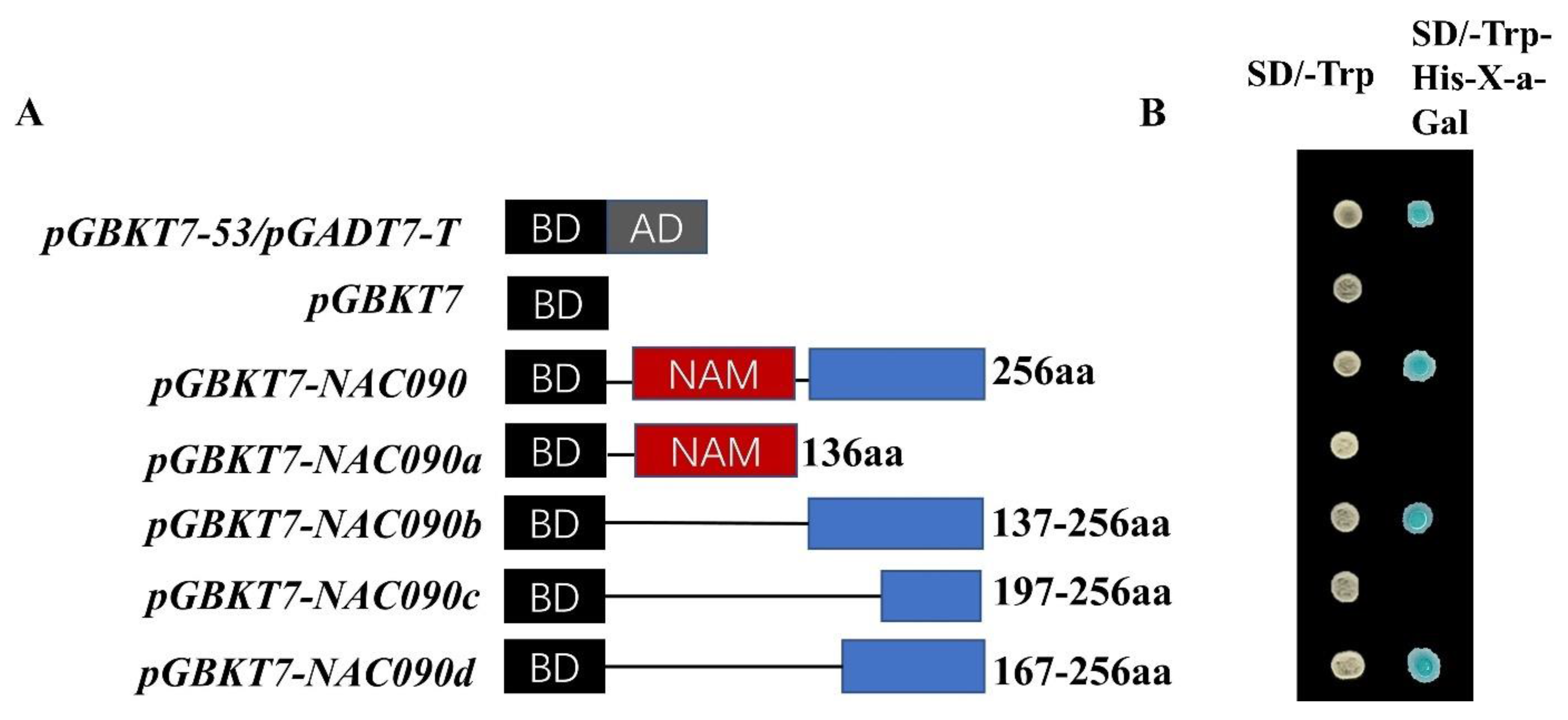 Ijms 24 08985 g005 Ijms 24 08985 g005