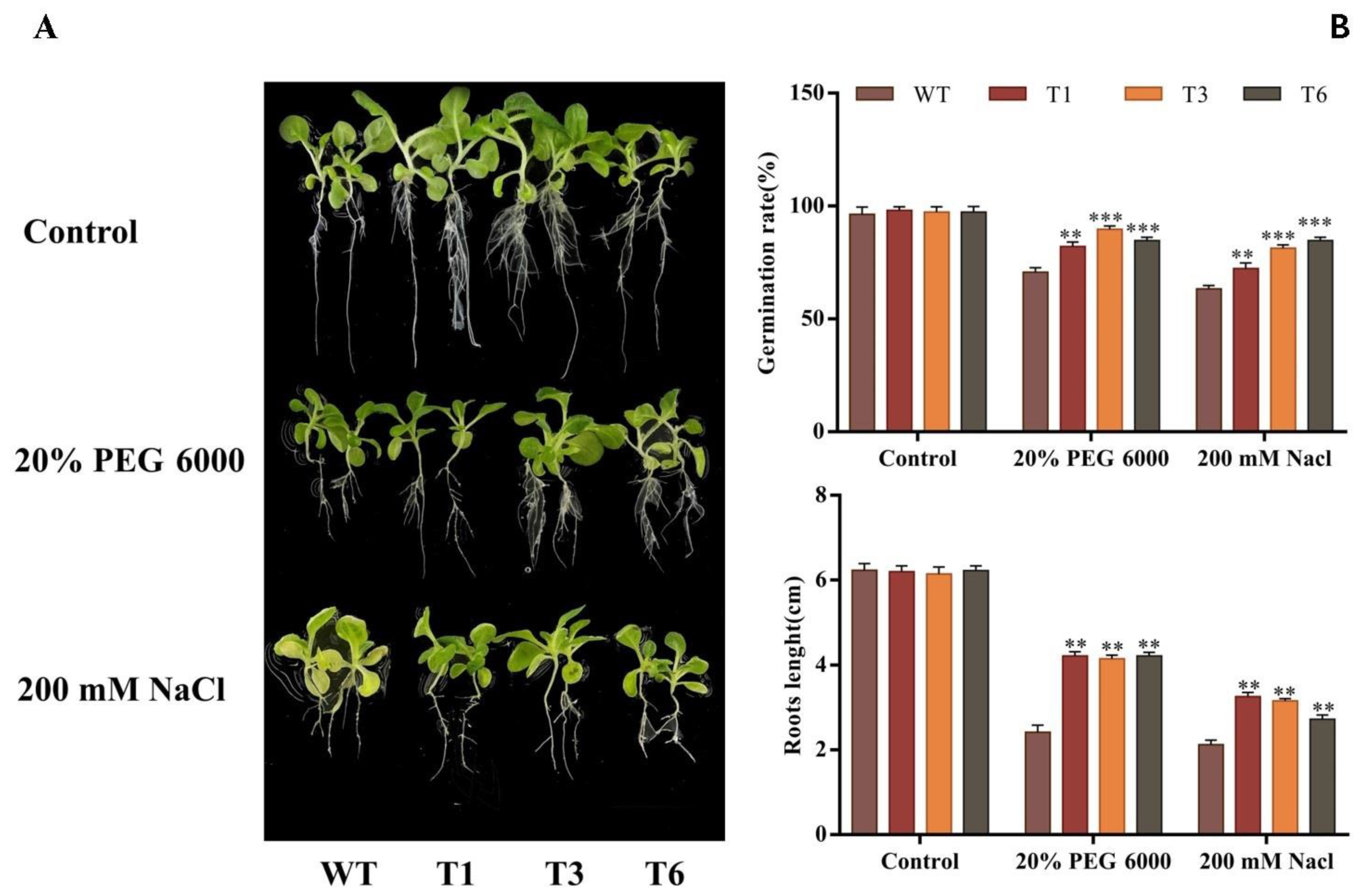 Ijms 24 08985 g007 Ijms 24 08985 g007