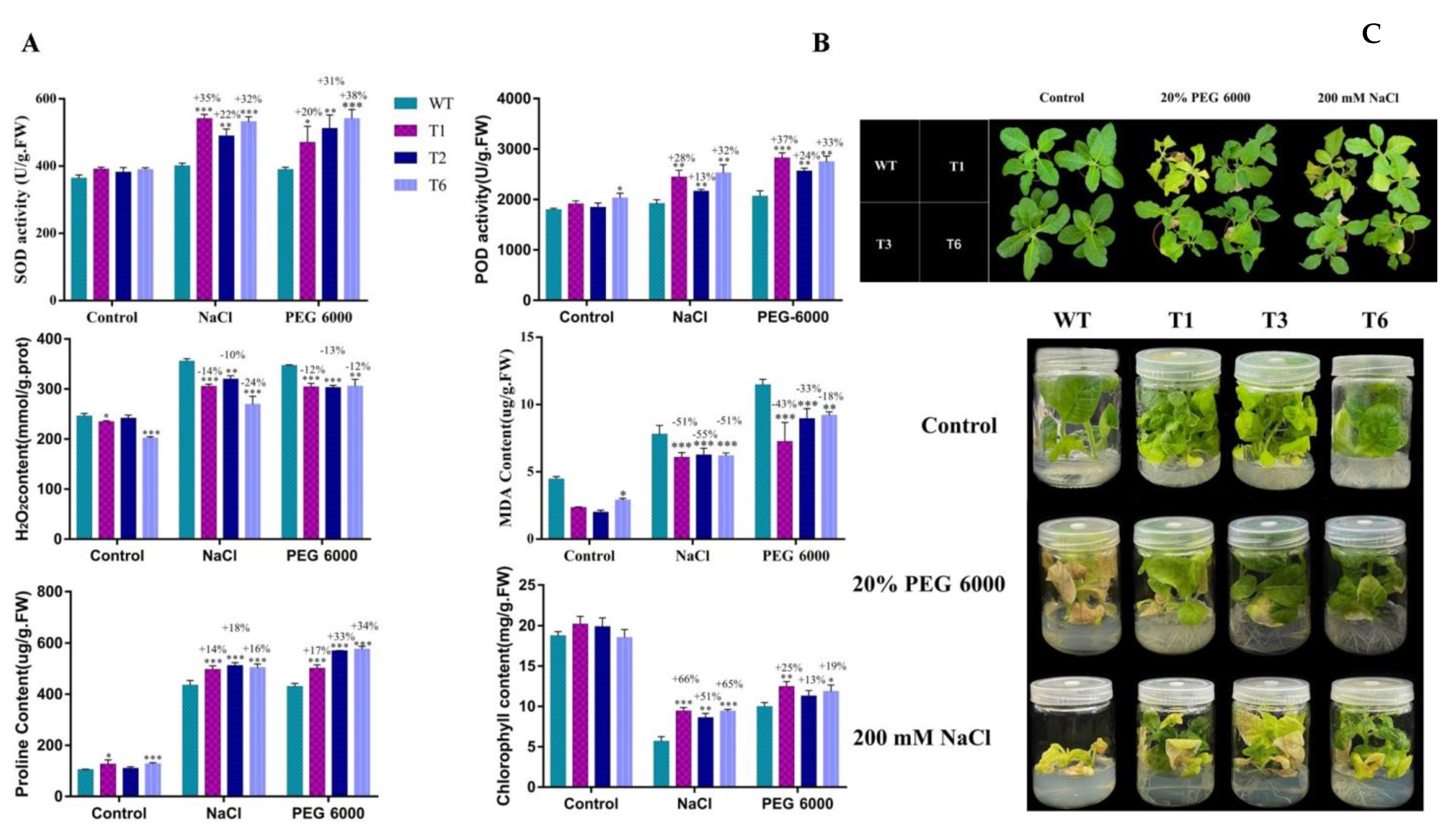Ijms 24 08985 g009 Ijms 24 08985 g009
