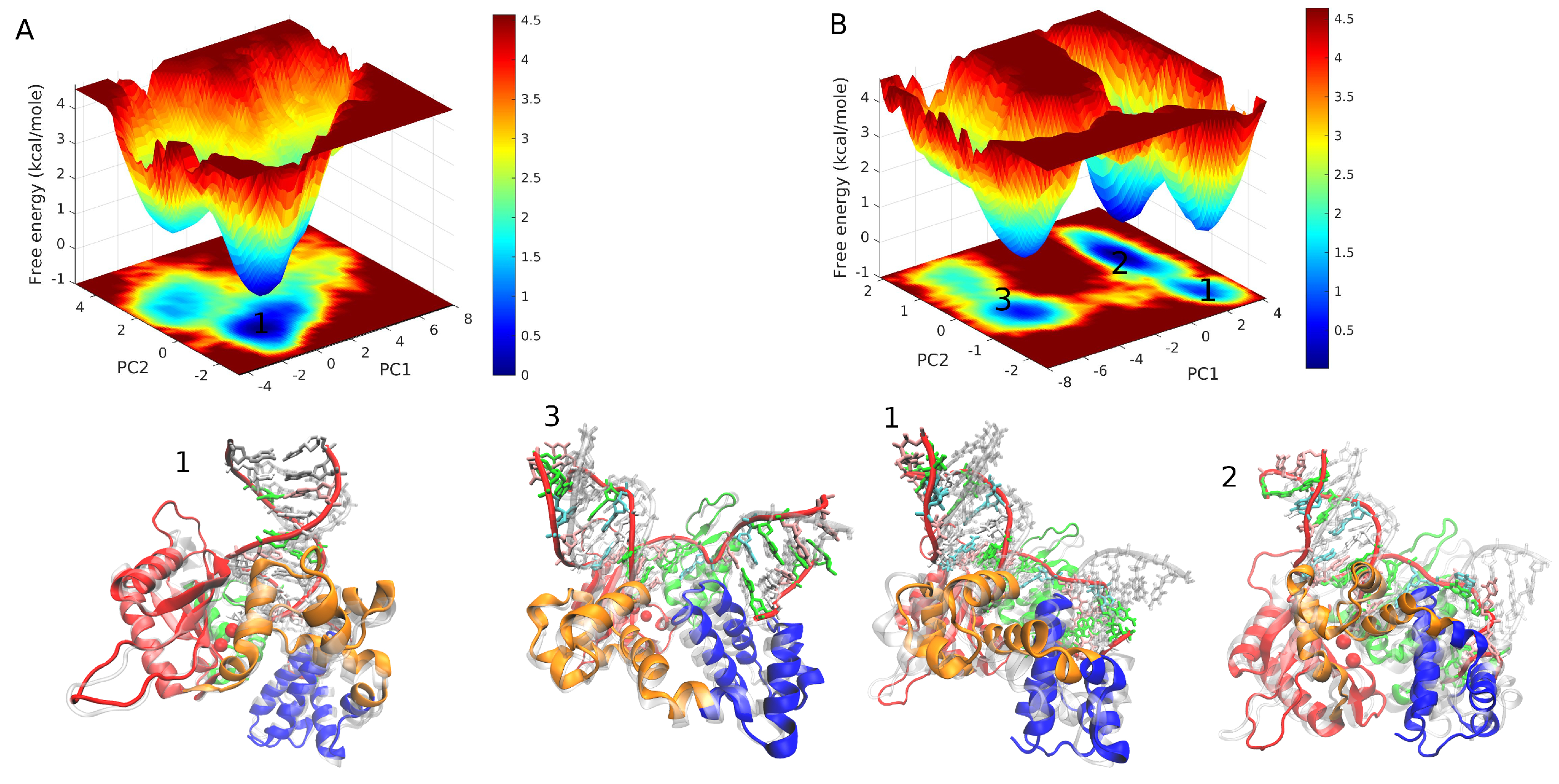 Ijms 24 08988 g008 Ijms 24 08988 g008