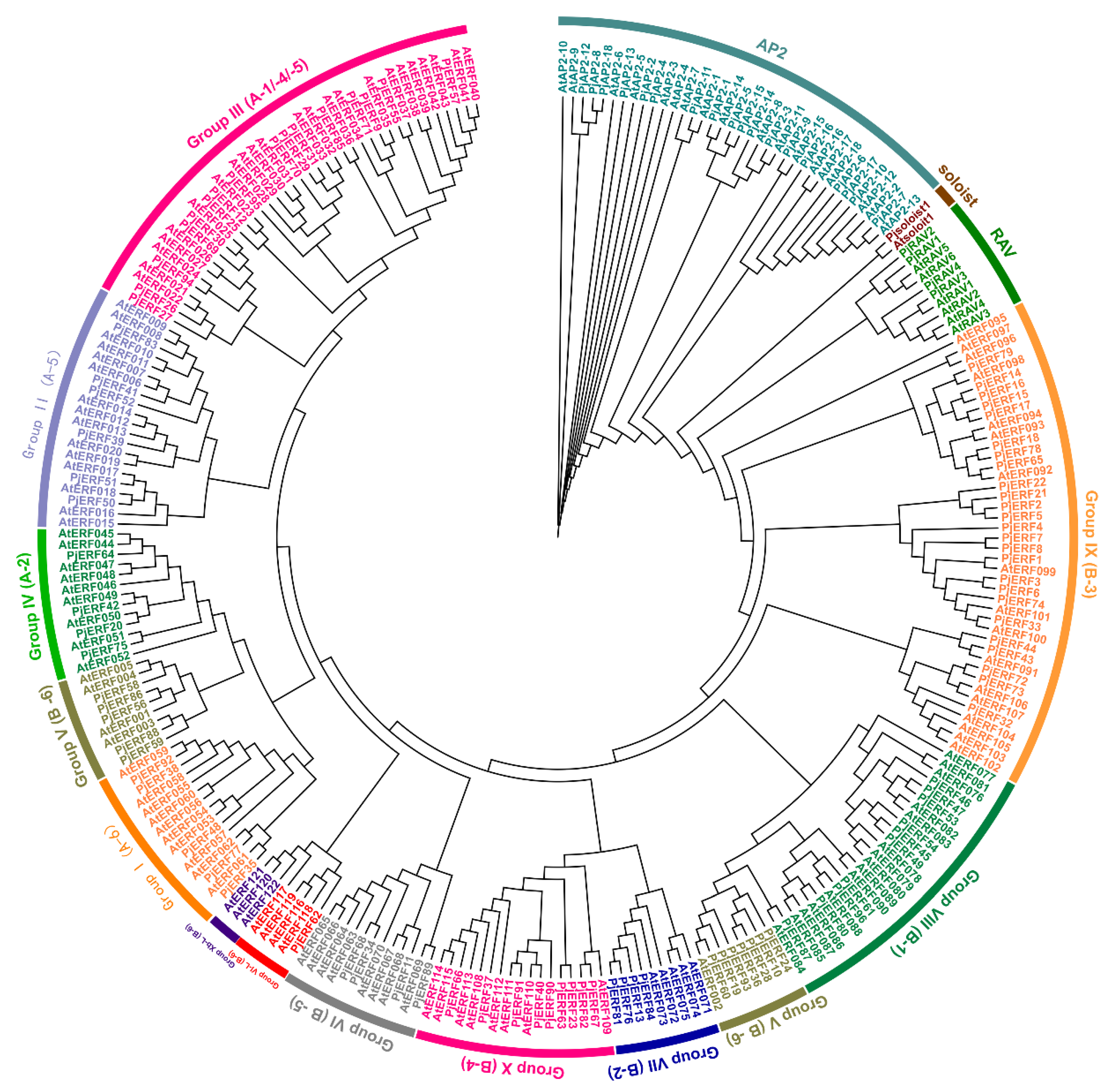 Ijms 24 08989 g001 Ijms 24 08989 g001