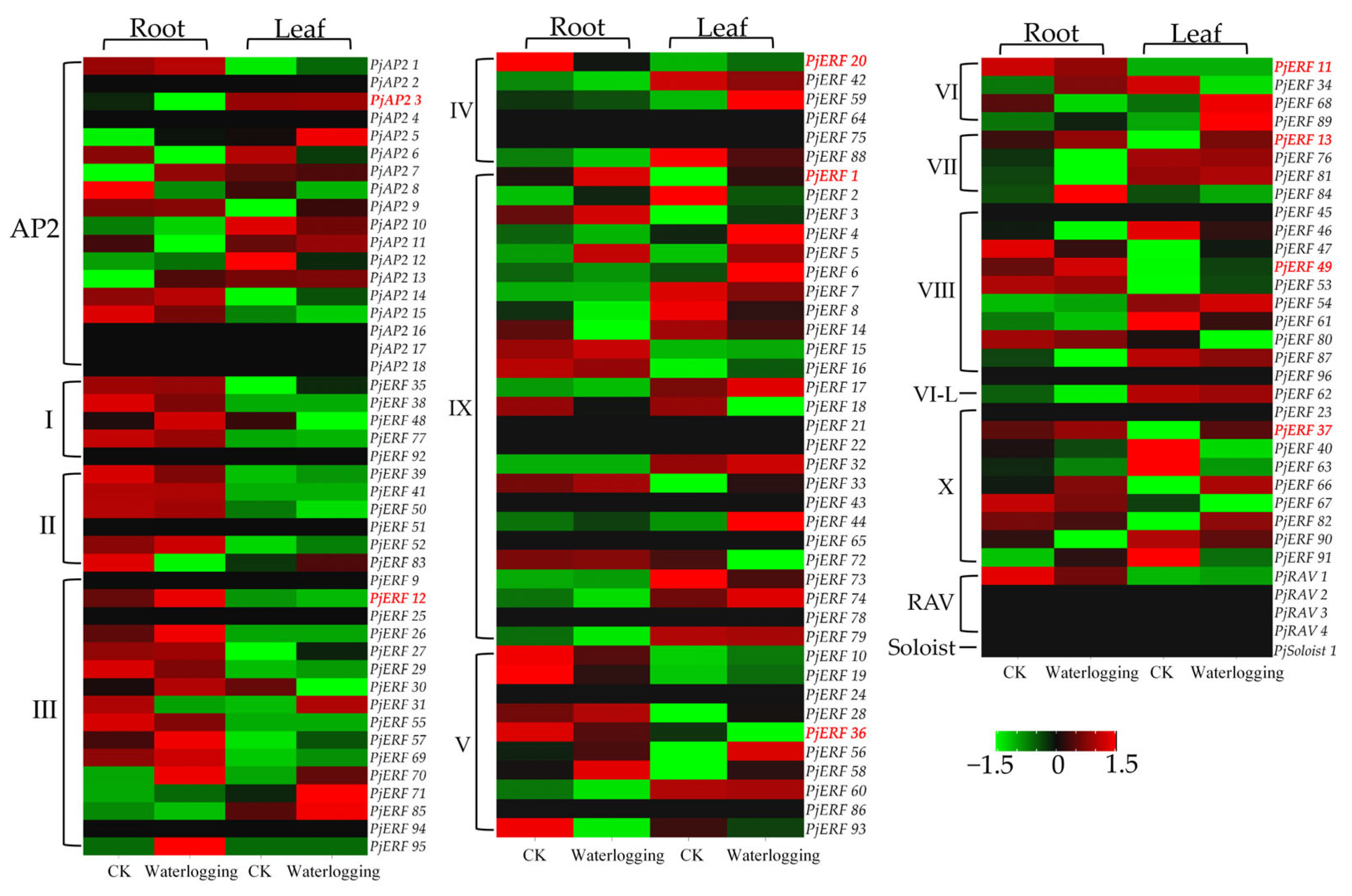 Ijms 24 08989 g004 Ijms 24 08989 g004