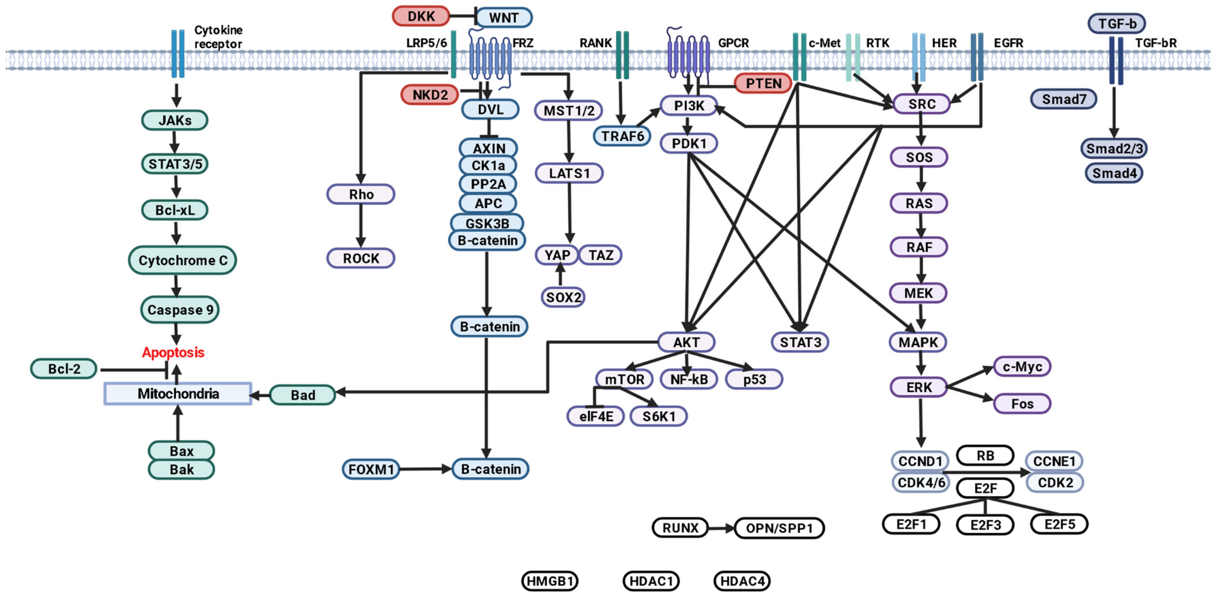 Ijms 24 08993 g001 Ijms 24 08993 g001
