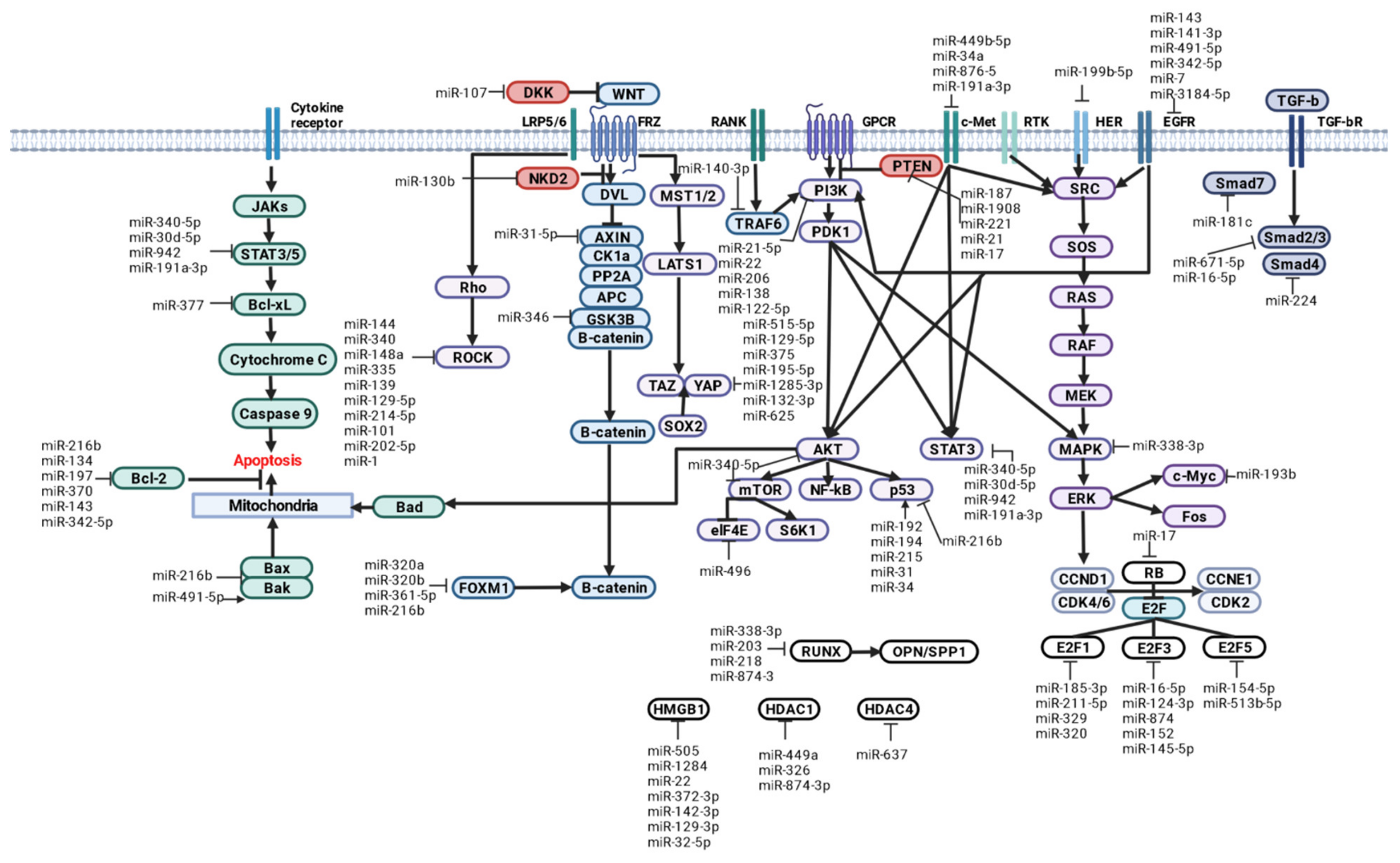 Ijms 24 08993 g002 Ijms 24 08993 g002