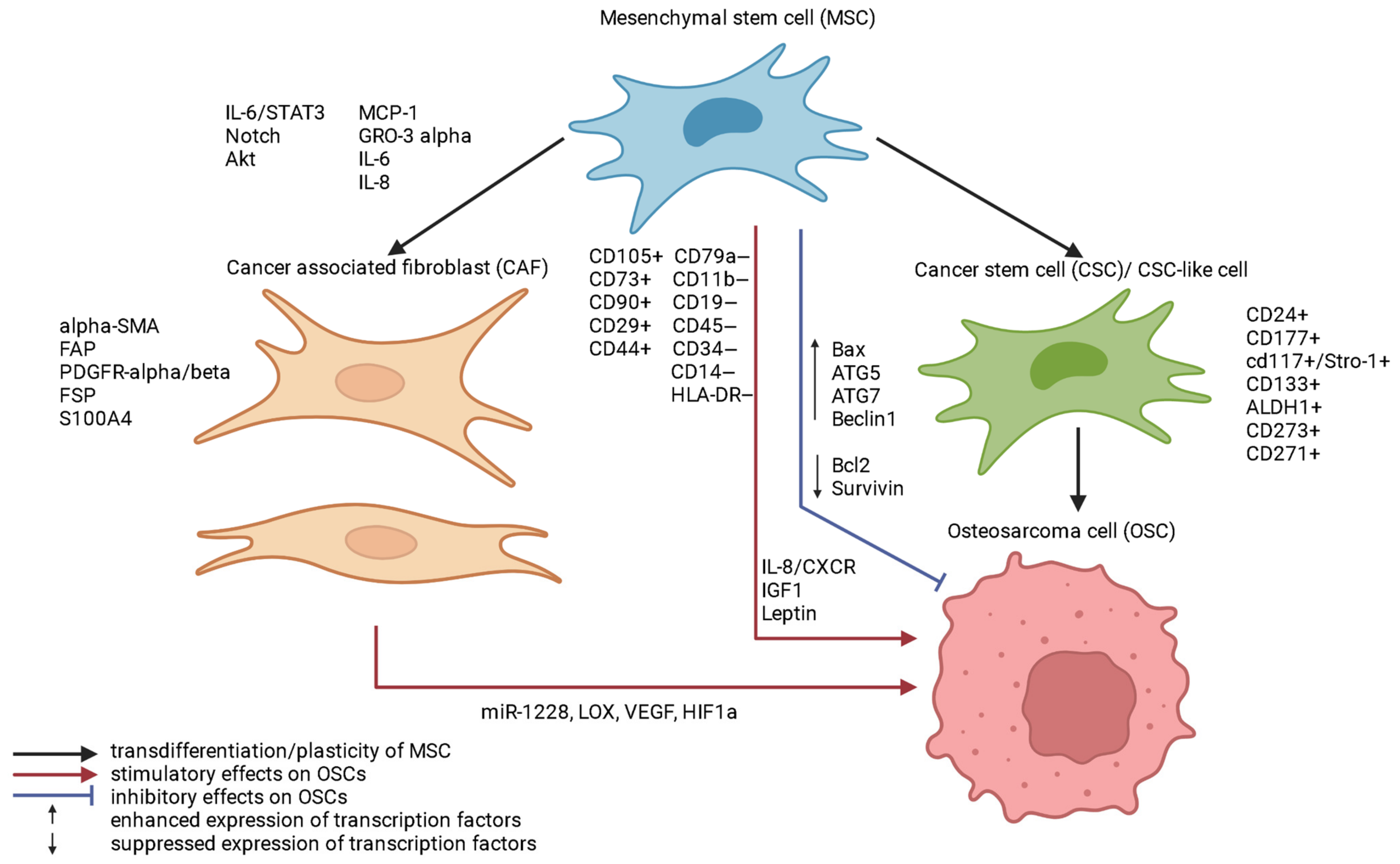 Ijms 24 08993 g003 Ijms 24 08993 g003