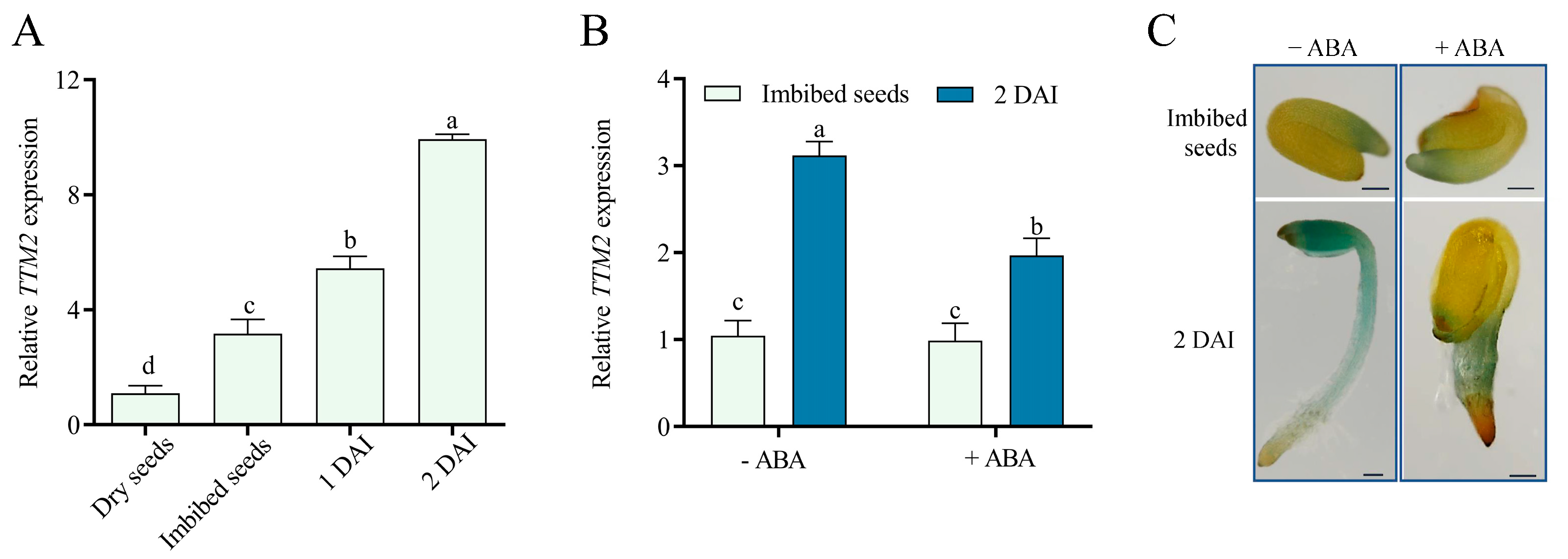 Ijms 24 08994 g001 Ijms 24 08994 g001