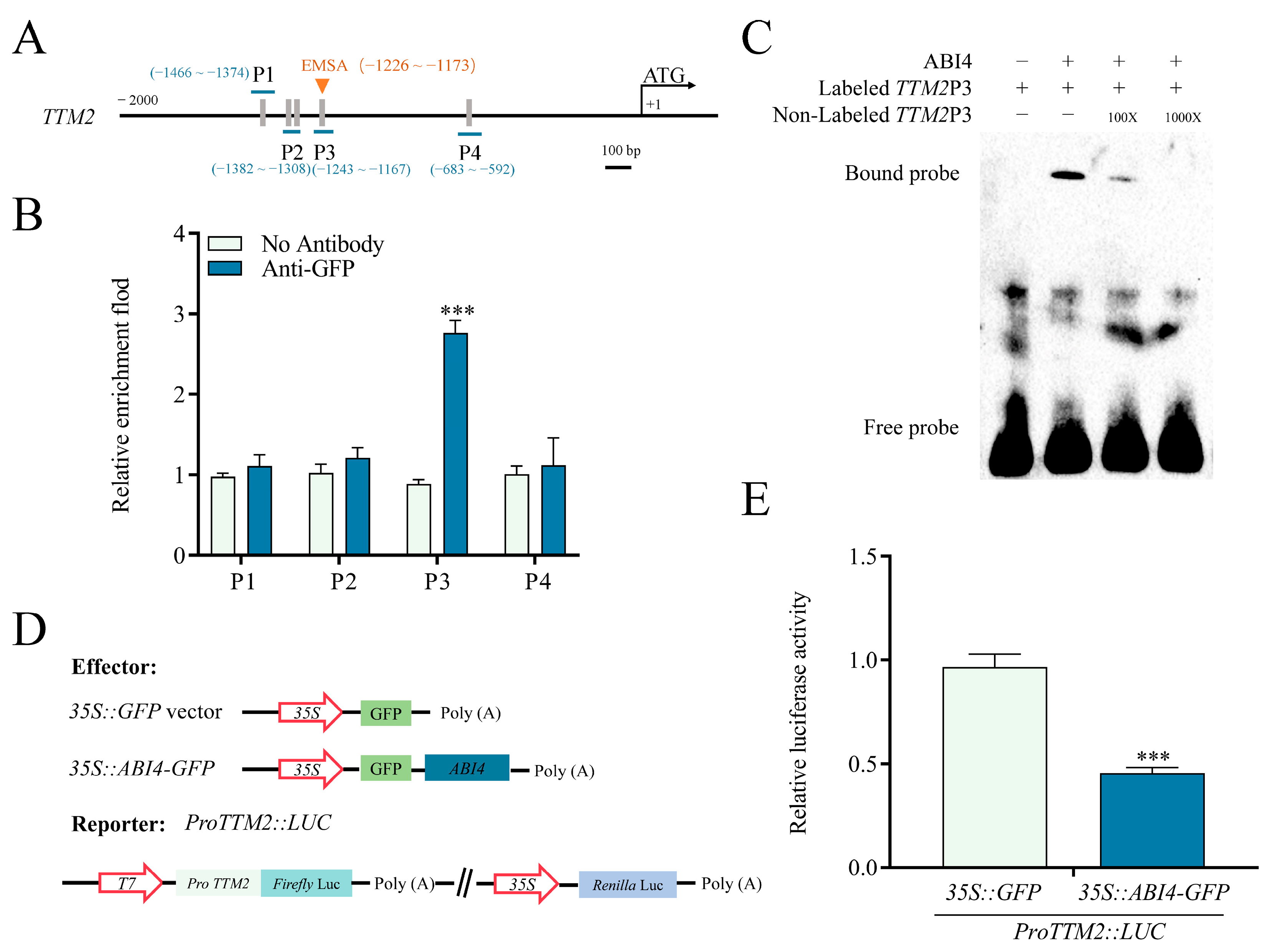Ijms 24 08994 g004 Ijms 24 08994 g004
