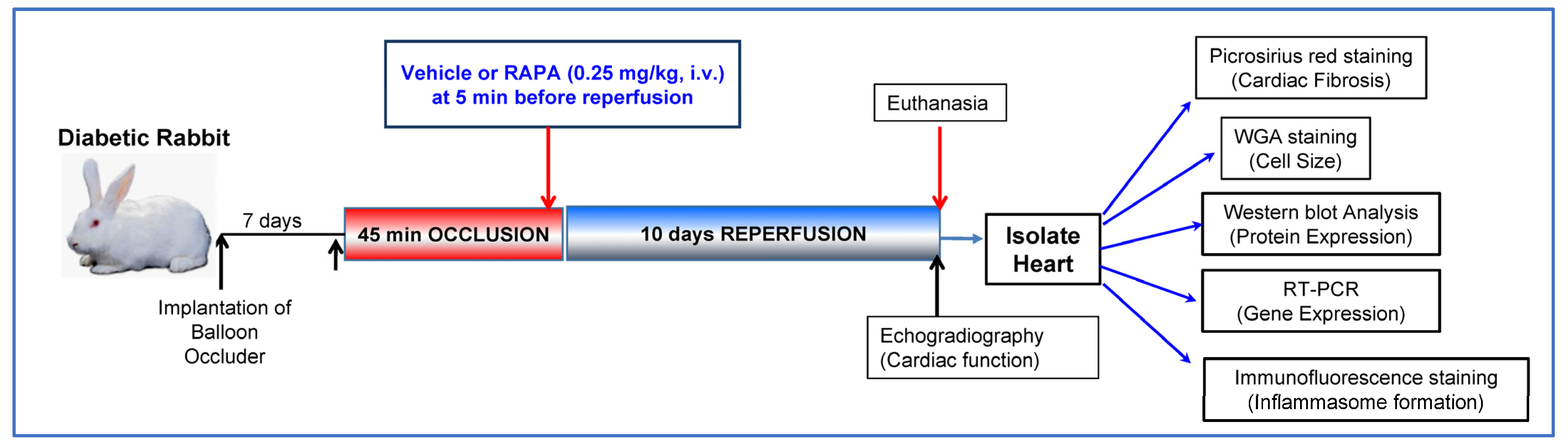 Ijms 24 08998 g001 Ijms 24 08998 g001