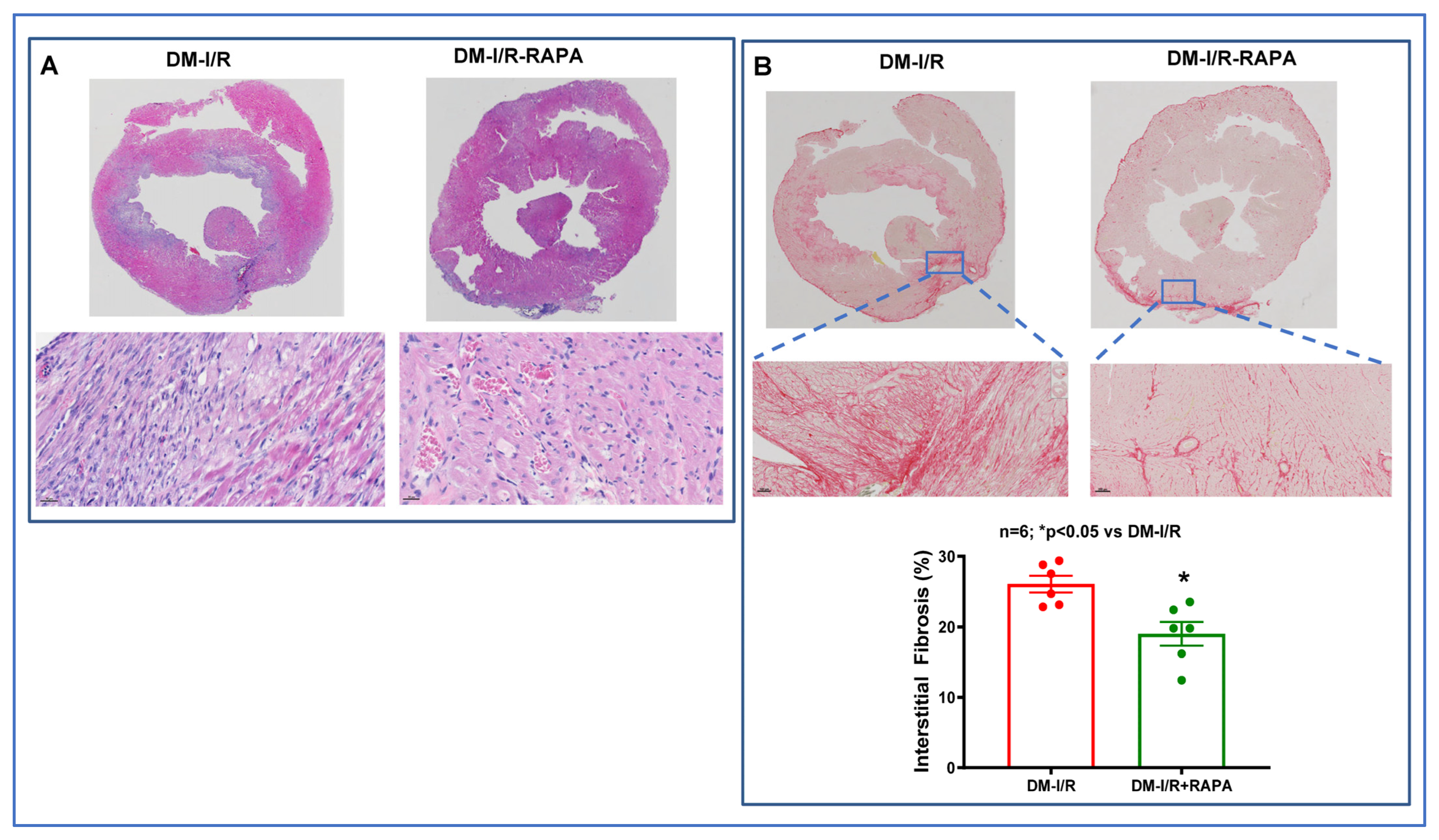 Ijms 24 08998 g003 Ijms 24 08998 g003