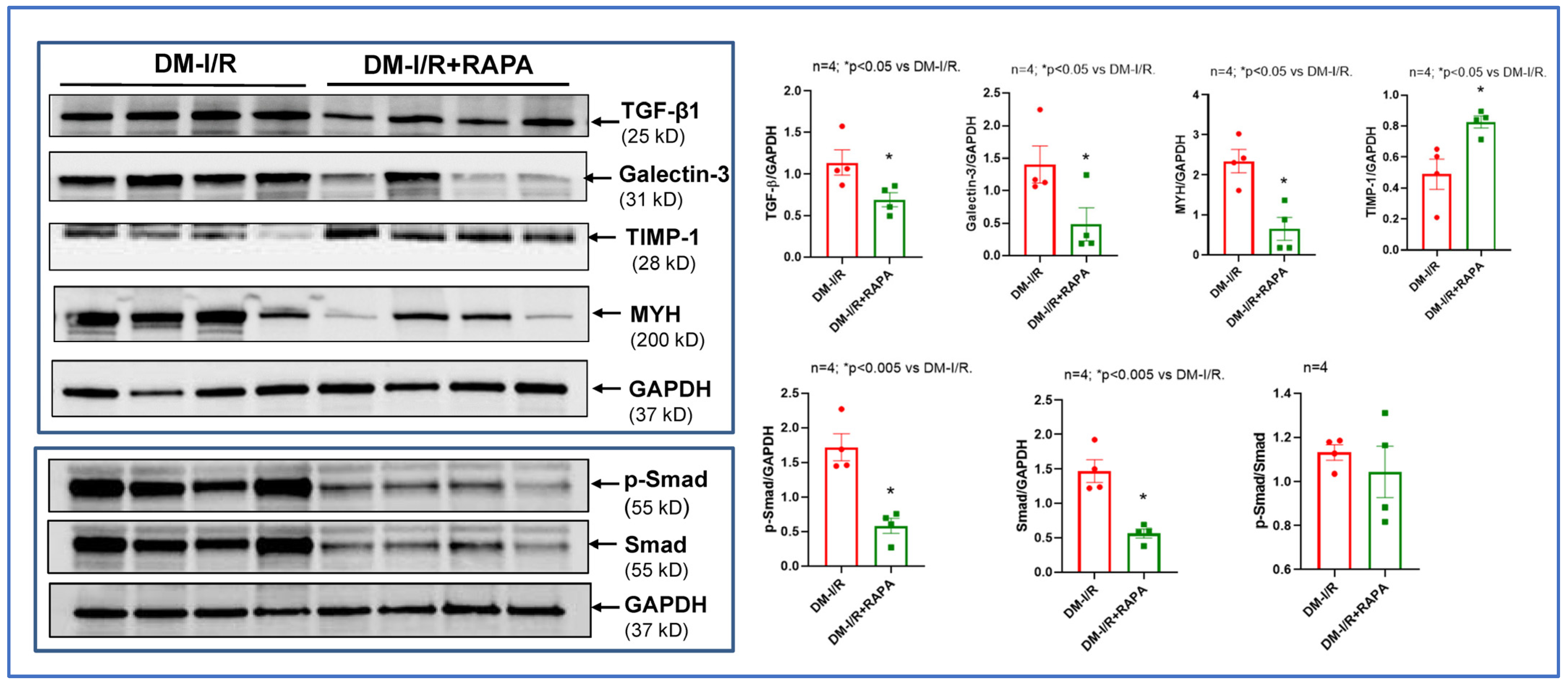 Ijms 24 08998 g005 Ijms 24 08998 g005
