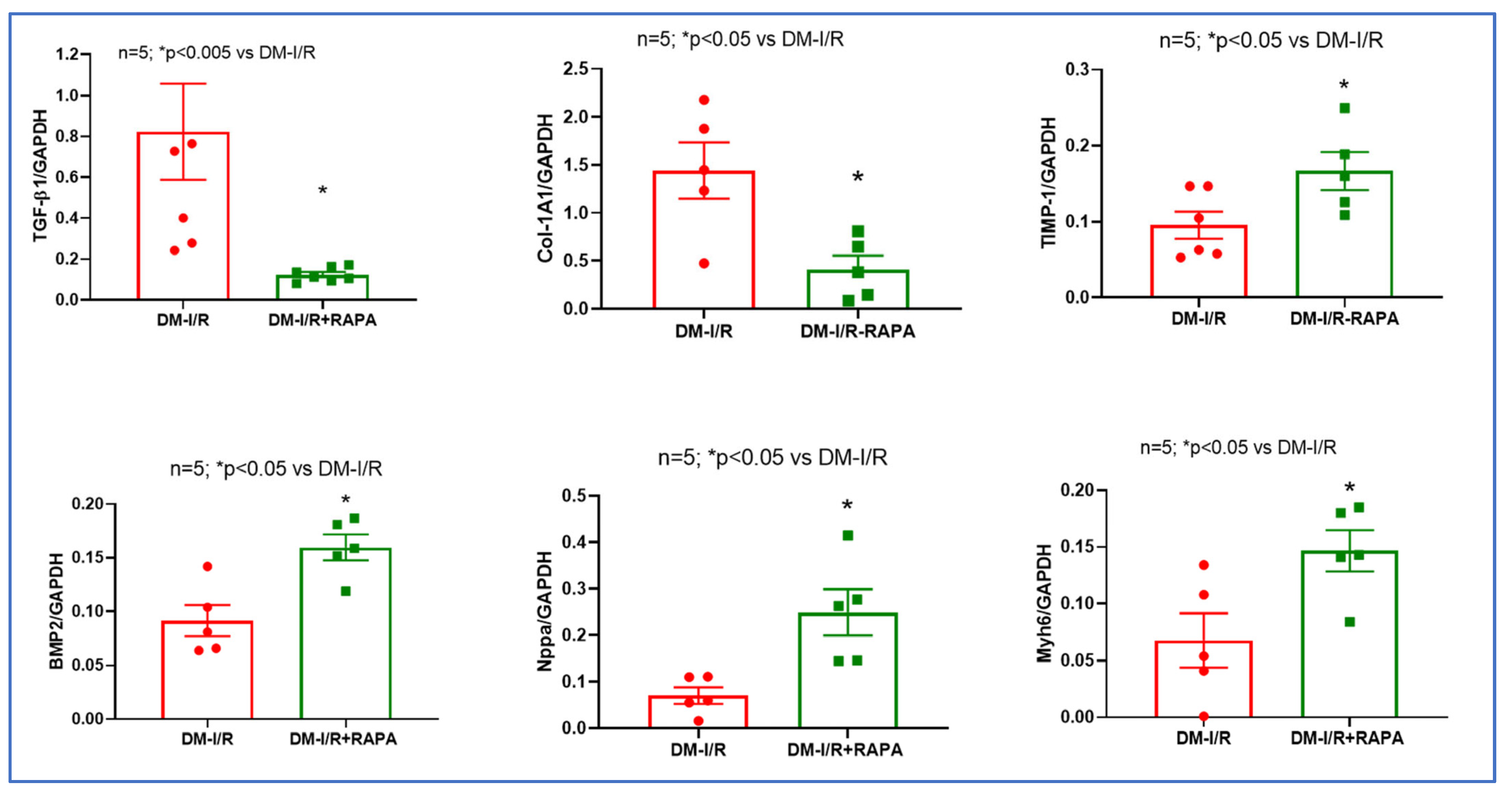 Ijms 24 08998 g006 Ijms 24 08998 g006