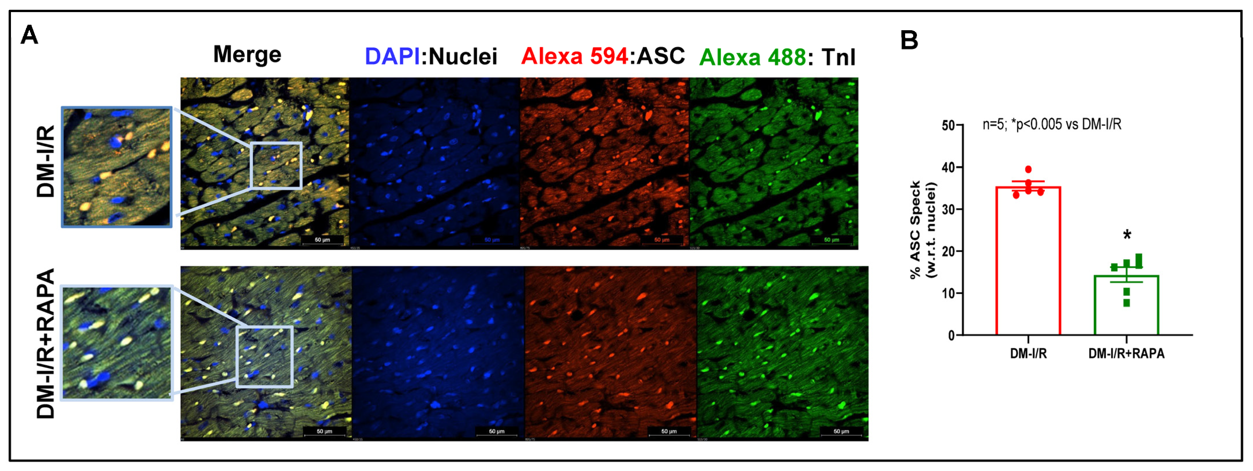 Ijms 24 08998 g007 Ijms 24 08998 g007
