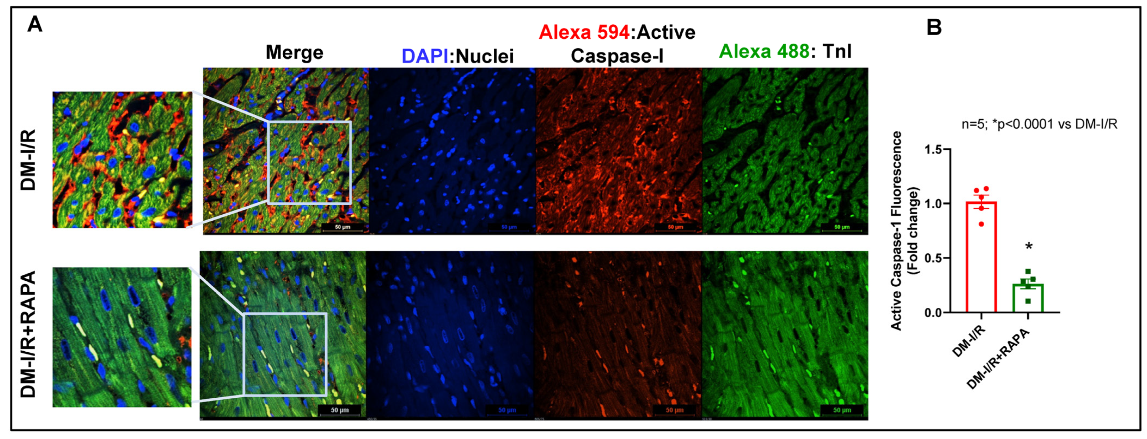 Ijms 24 08998 g009 Ijms 24 08998 g009