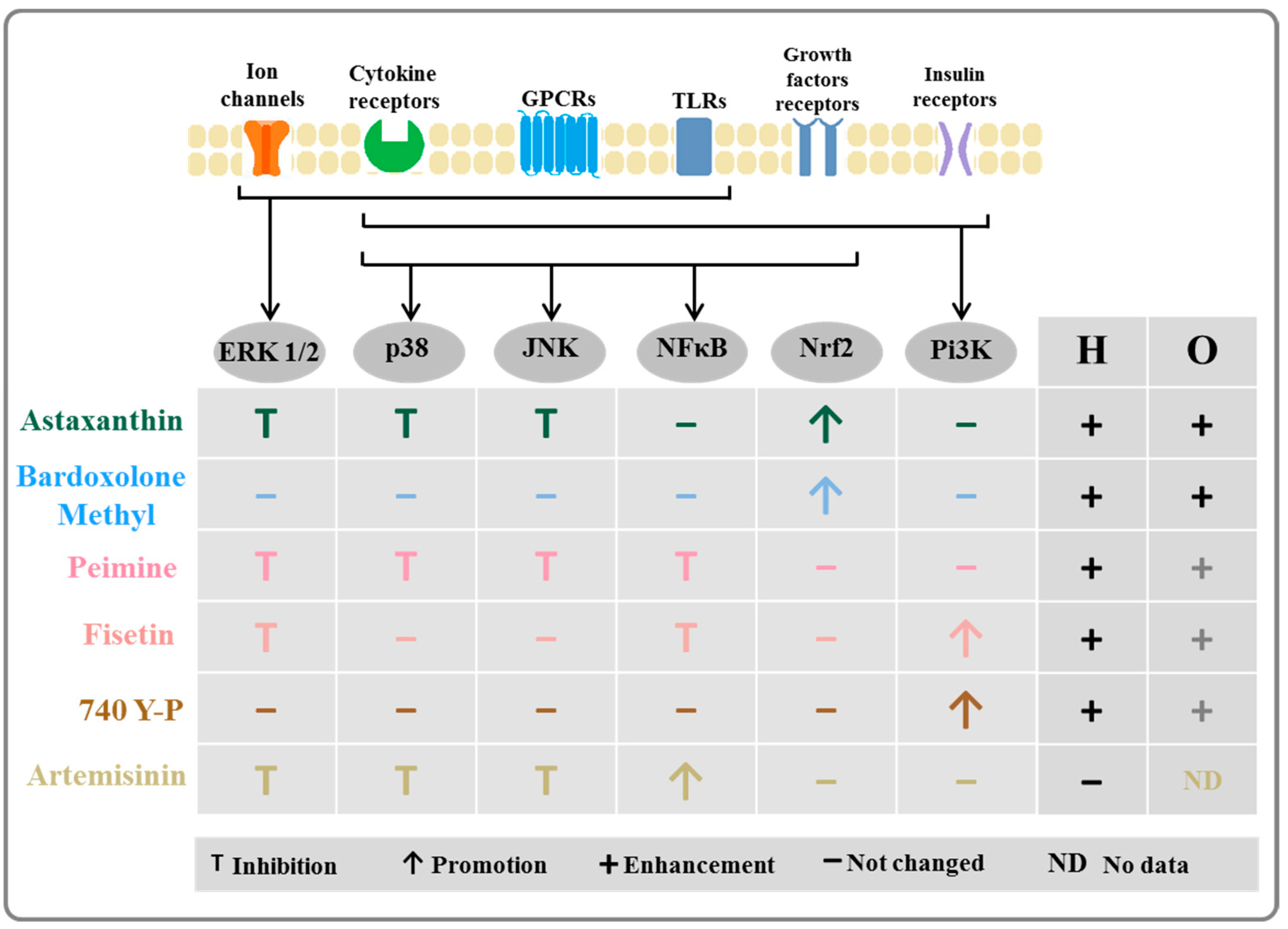 Ijms 24 09000 sch001 Ijms 24 09000 sch001