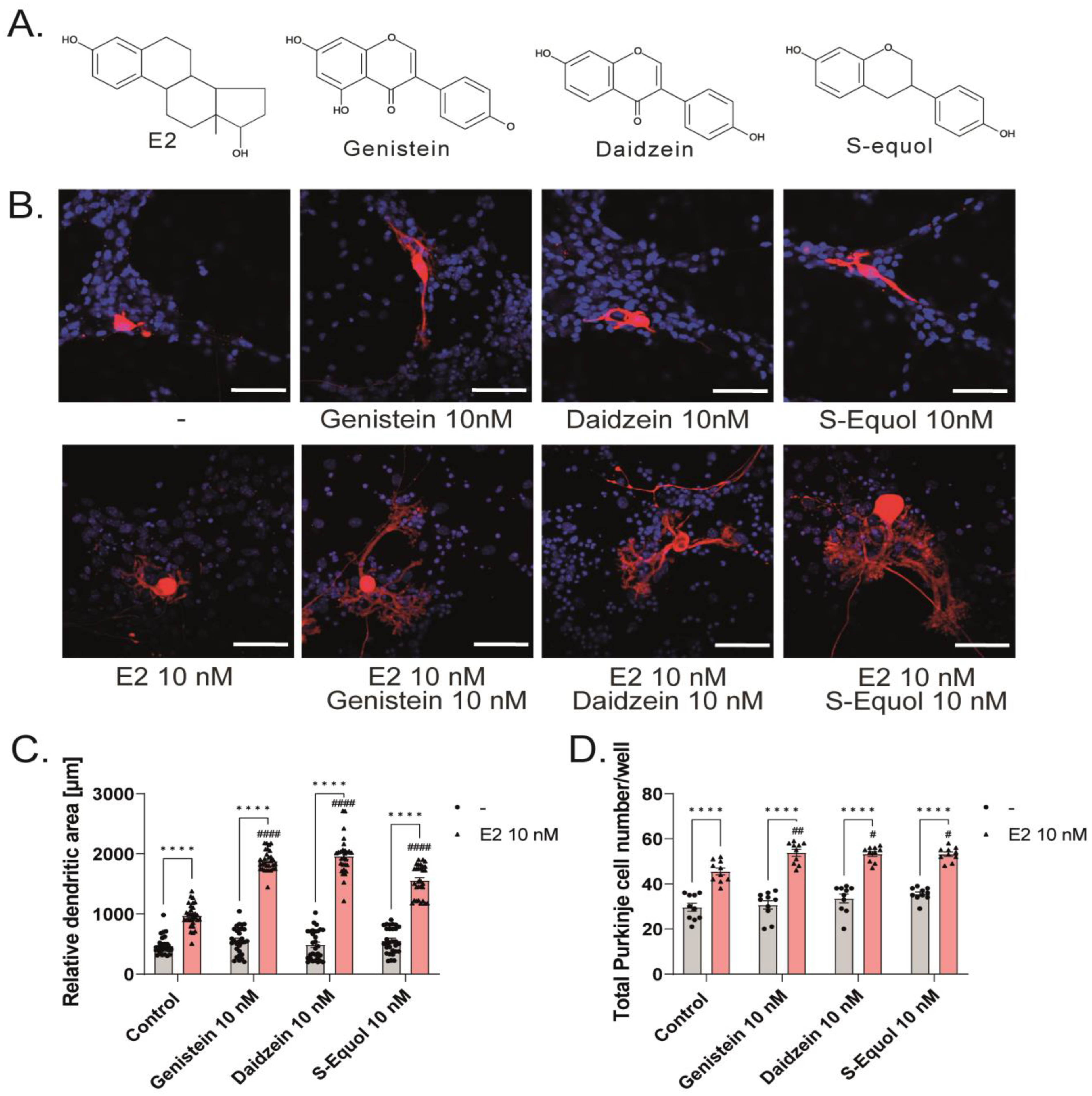Ijms 24 09011 g001a Ijms 24 09011 g001a