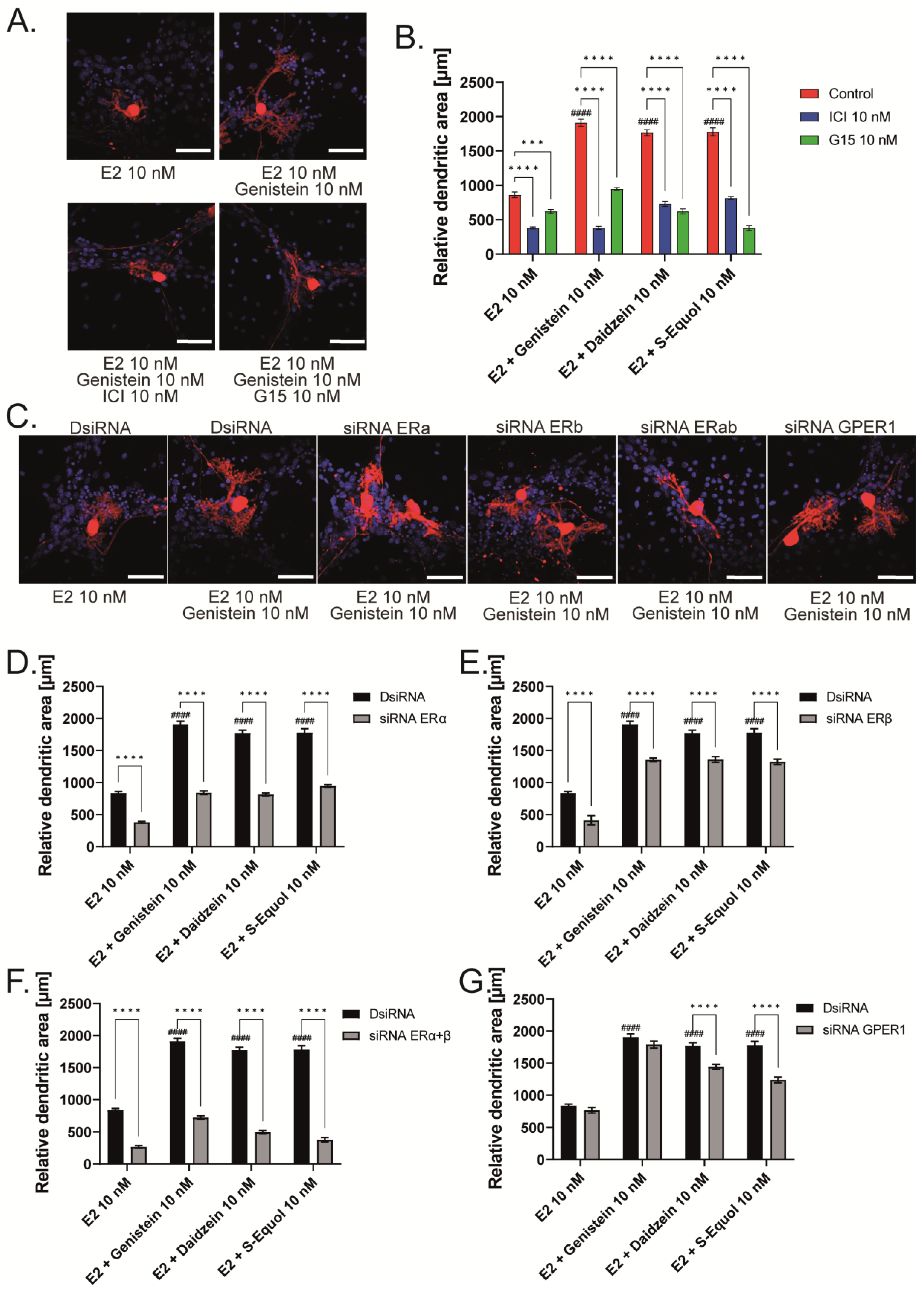 Ijms 24 09011 g002 Ijms 24 09011 g002