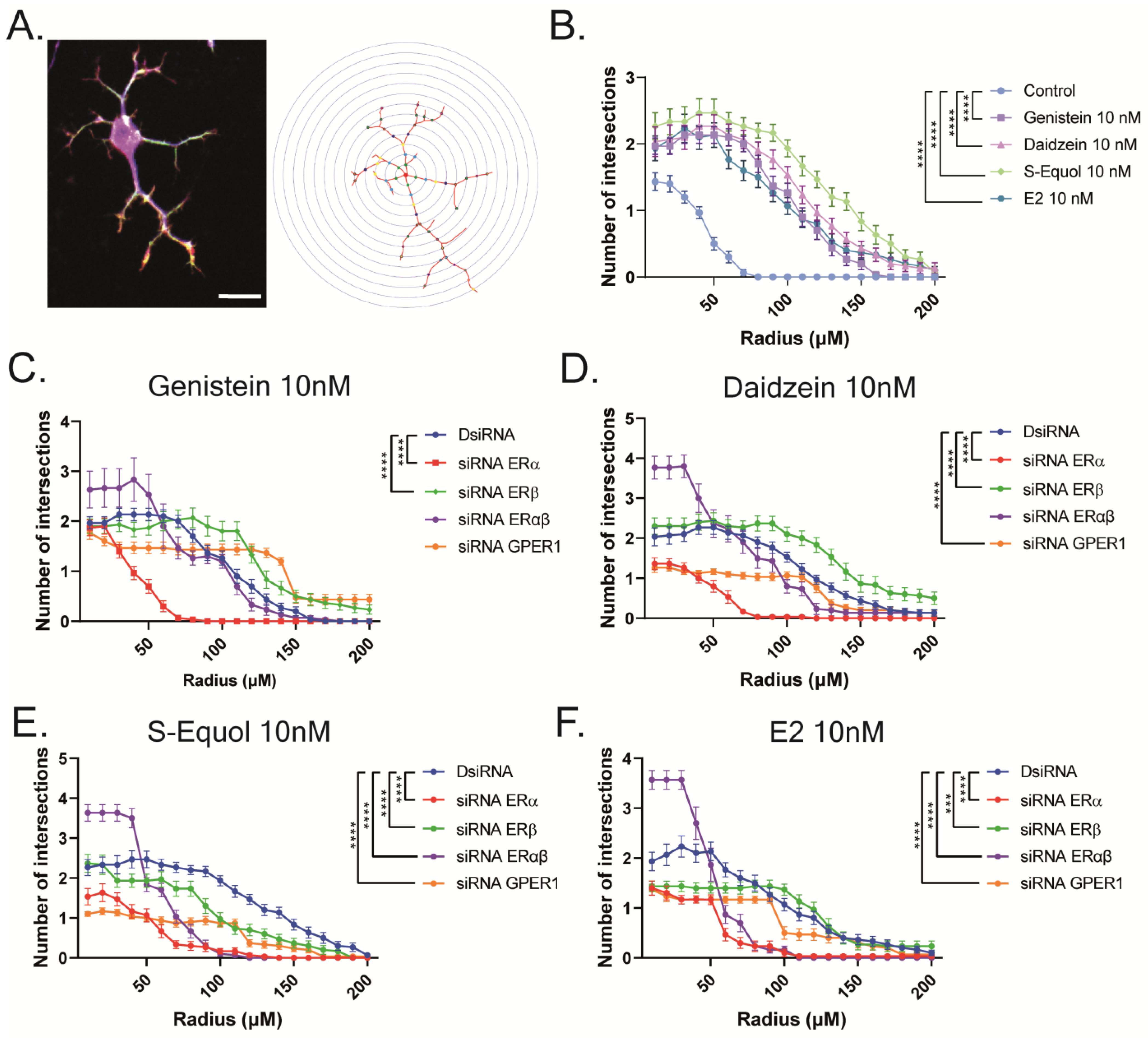 Ijms 24 09011 g004a Ijms 24 09011 g004a