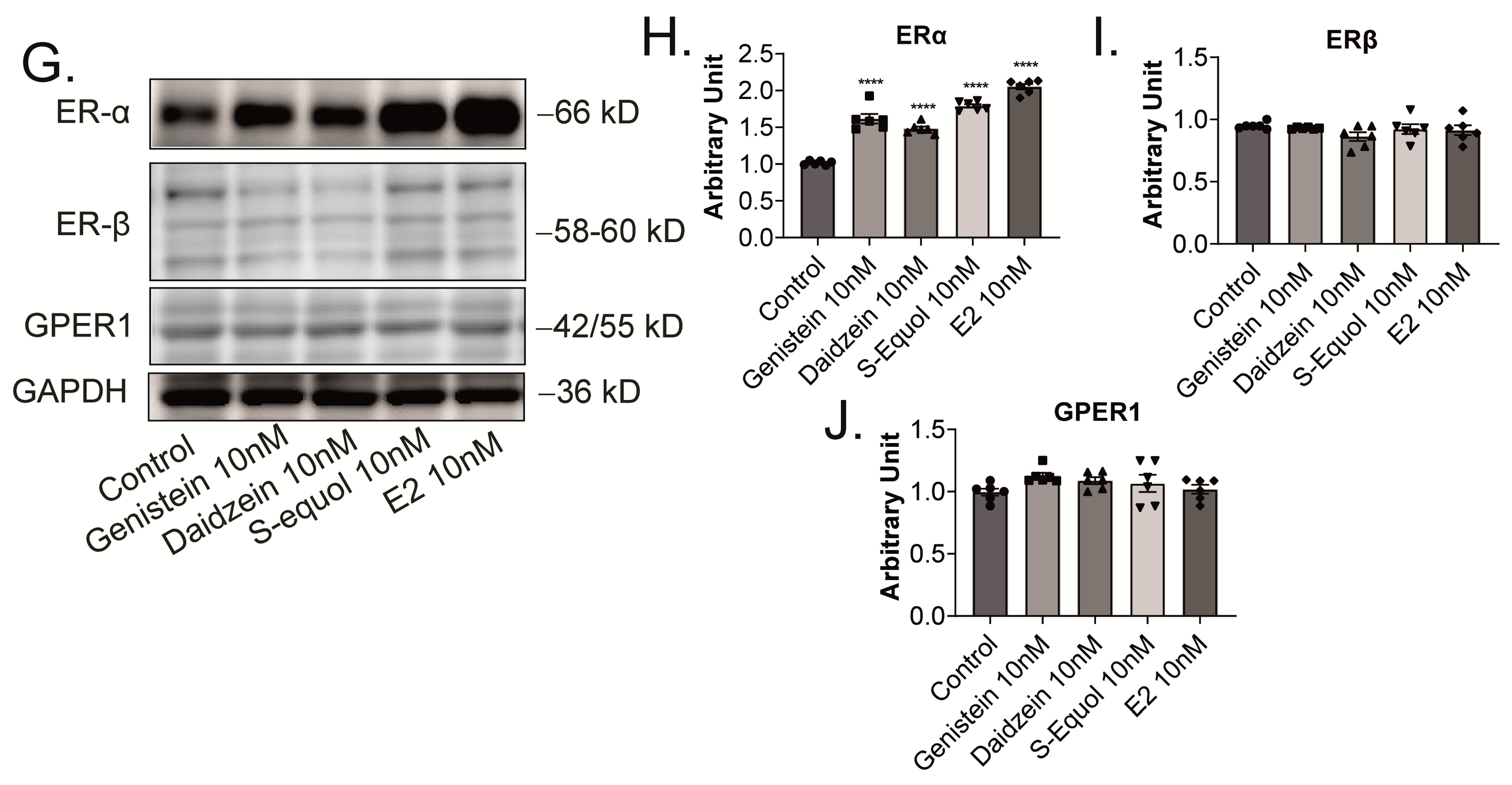 Ijms 24 09011 g004b Ijms 24 09011 g004b