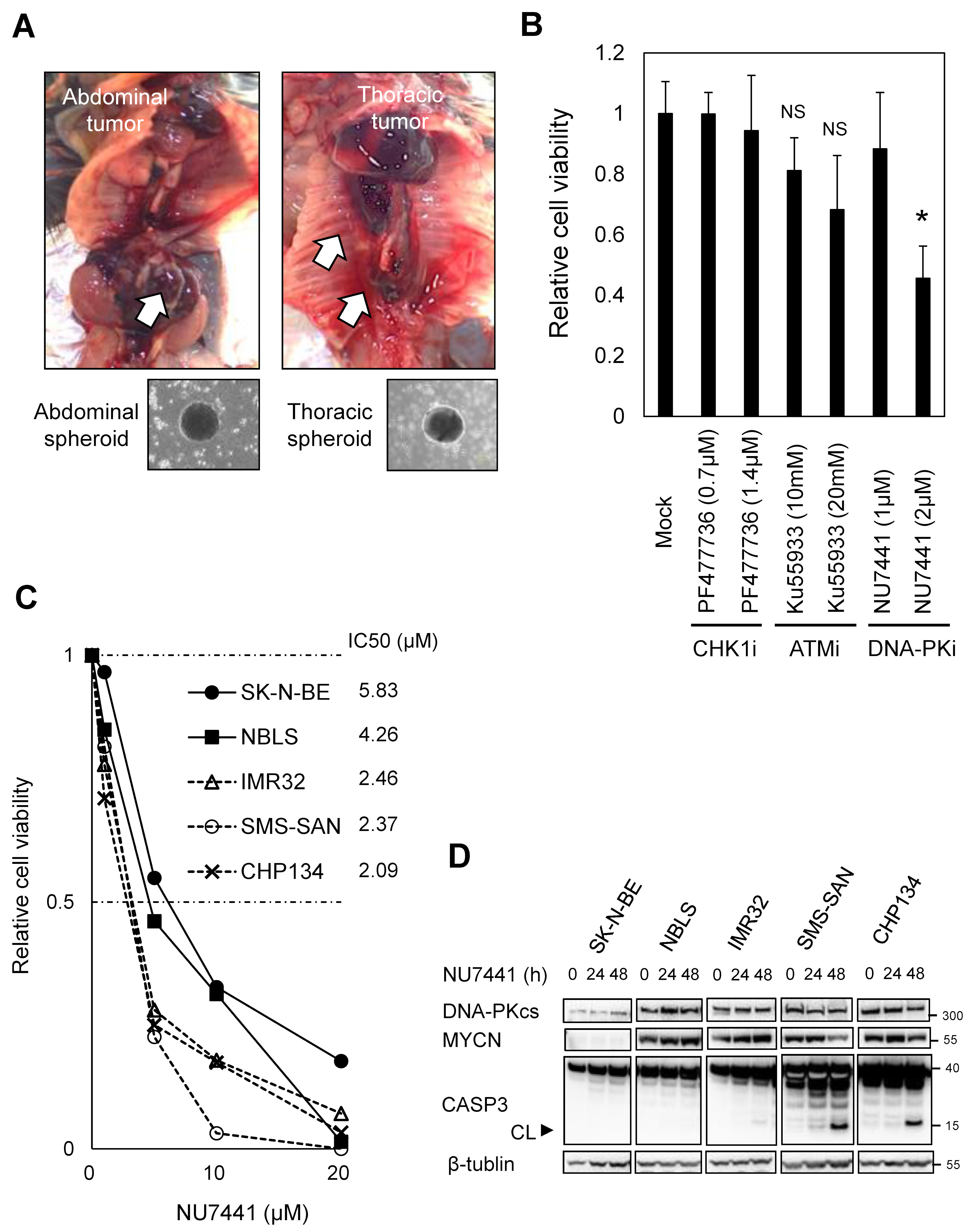 Ijms 24 09012 g001 Ijms 24 09012 g001