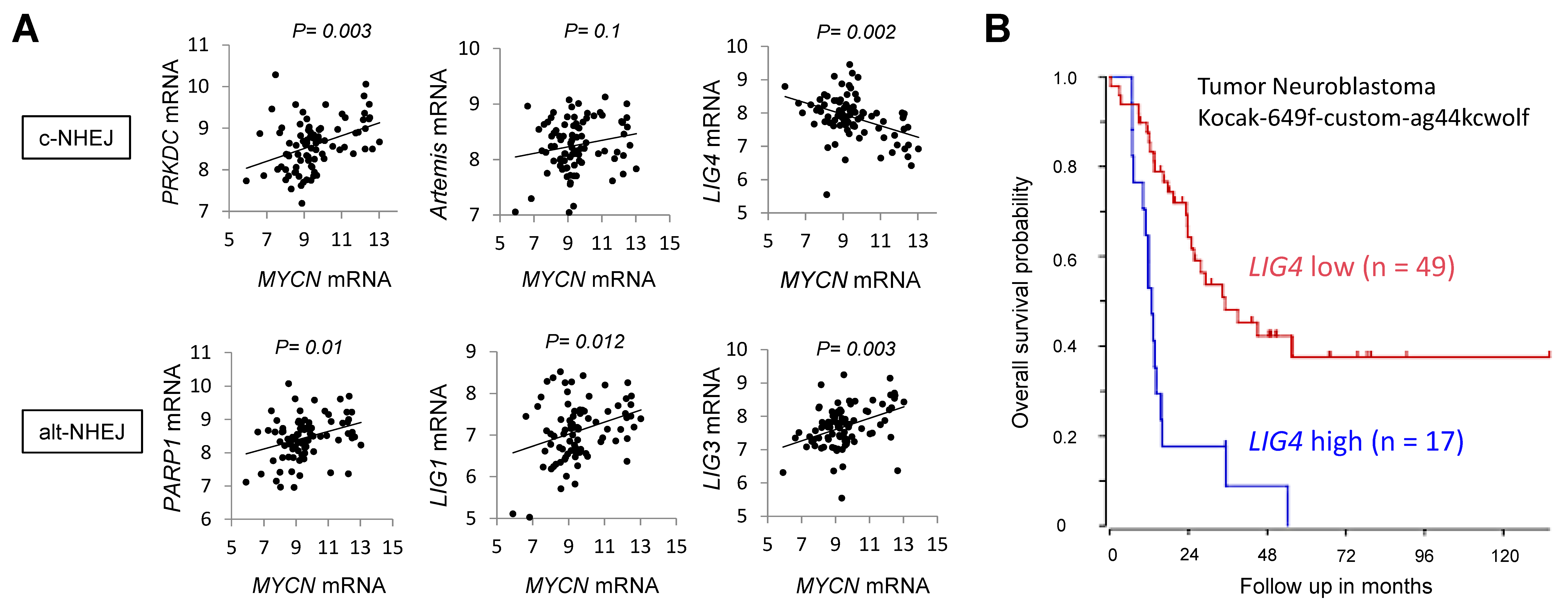 Ijms 24 09012 g002 Ijms 24 09012 g002
