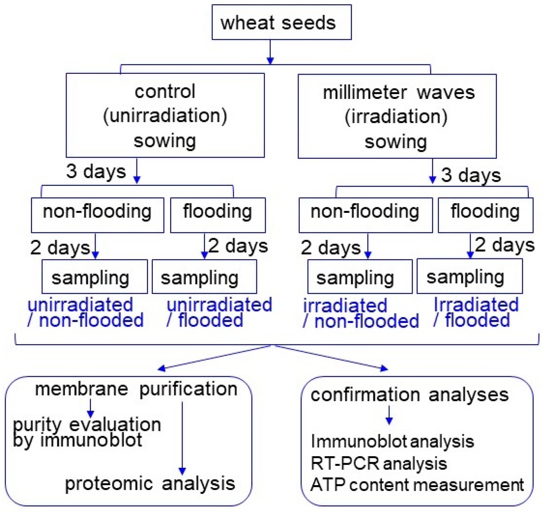 Ijms 24 09014 g002 Ijms 24 09014 g002