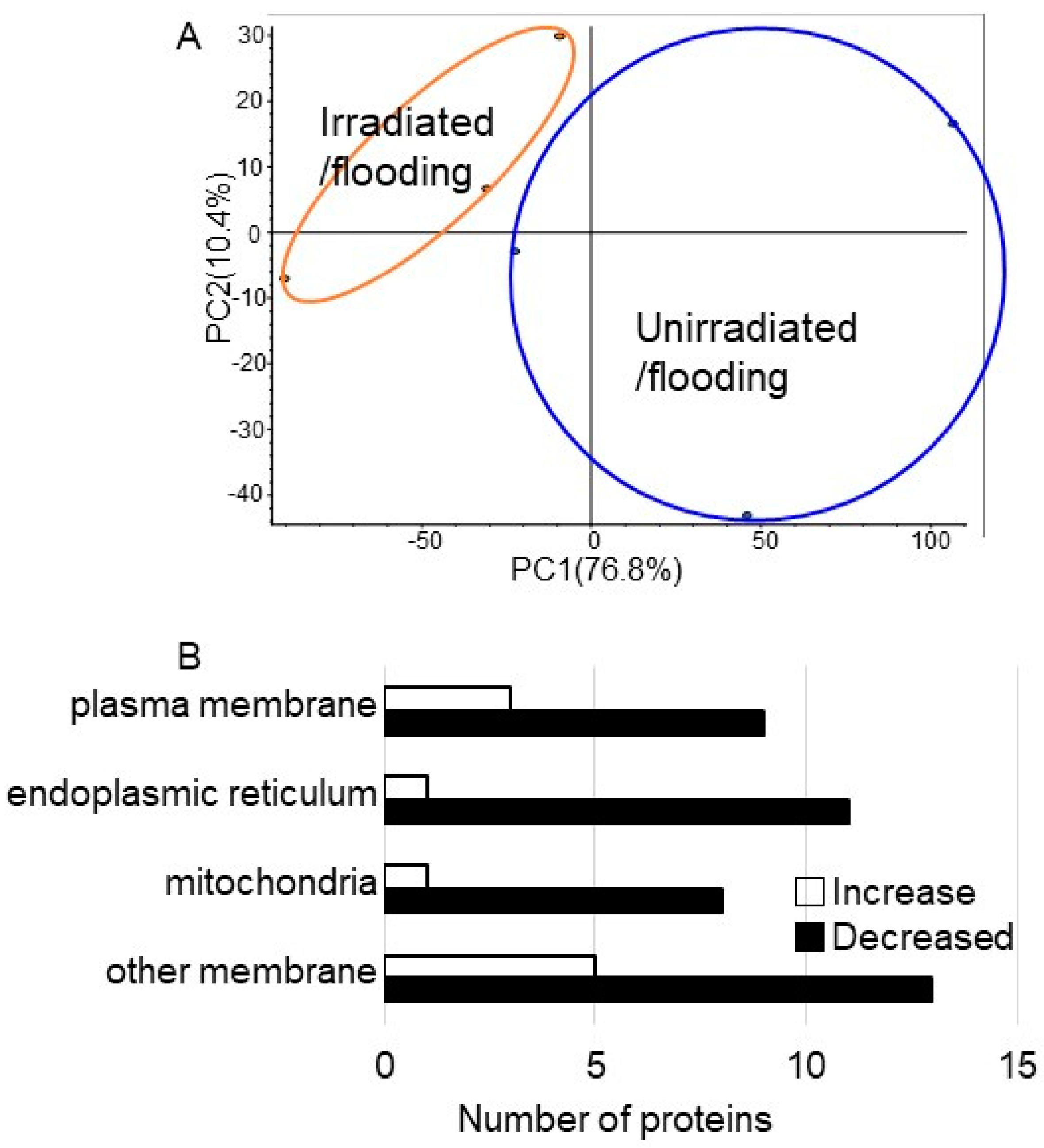 Ijms 24 09014 g003 Ijms 24 09014 g003
