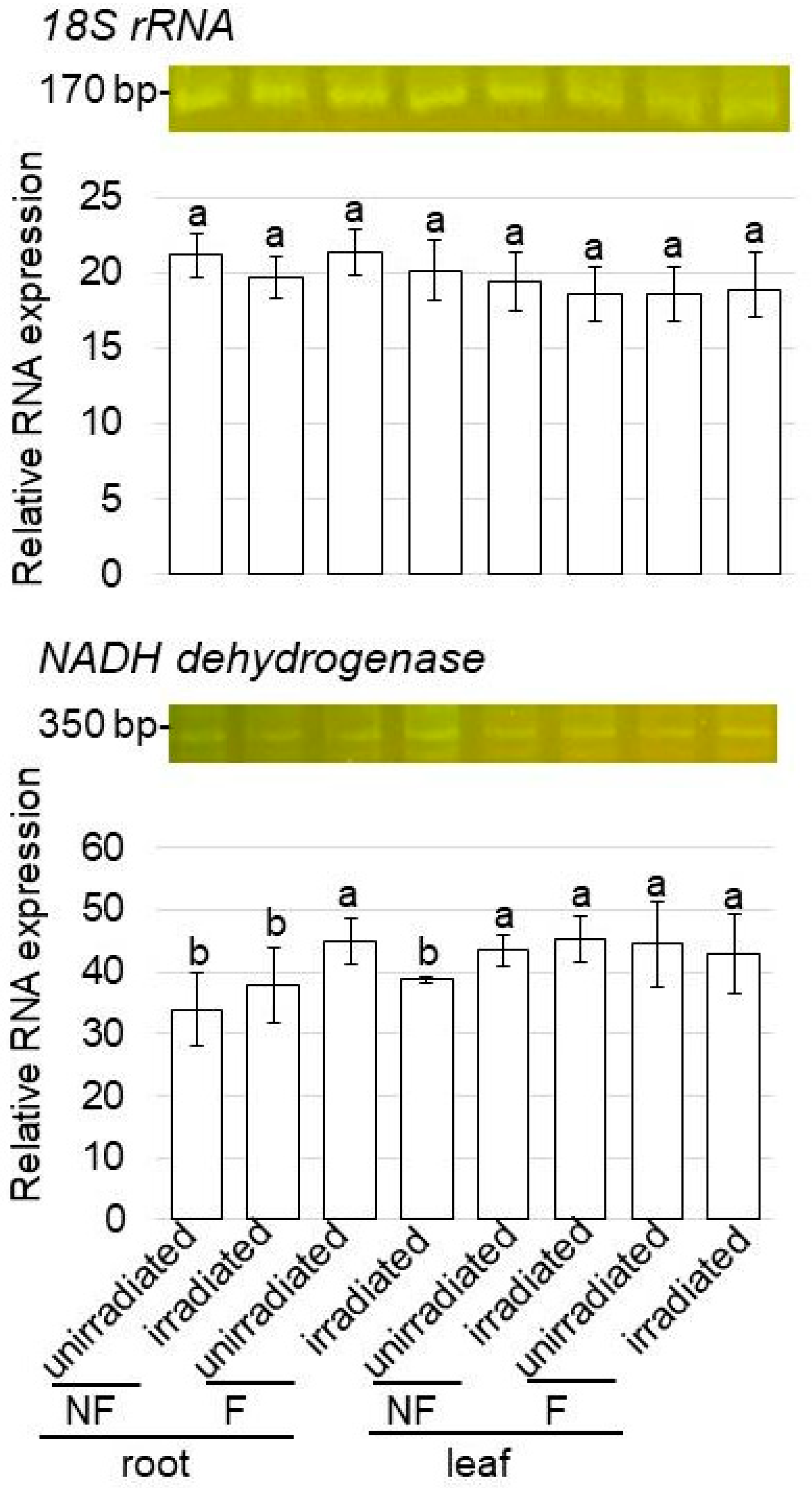 Ijms 24 09014 g006 Ijms 24 09014 g006