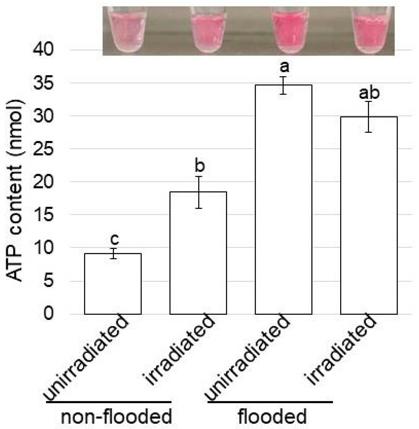 Ijms 24 09014 g007 Ijms 24 09014 g007