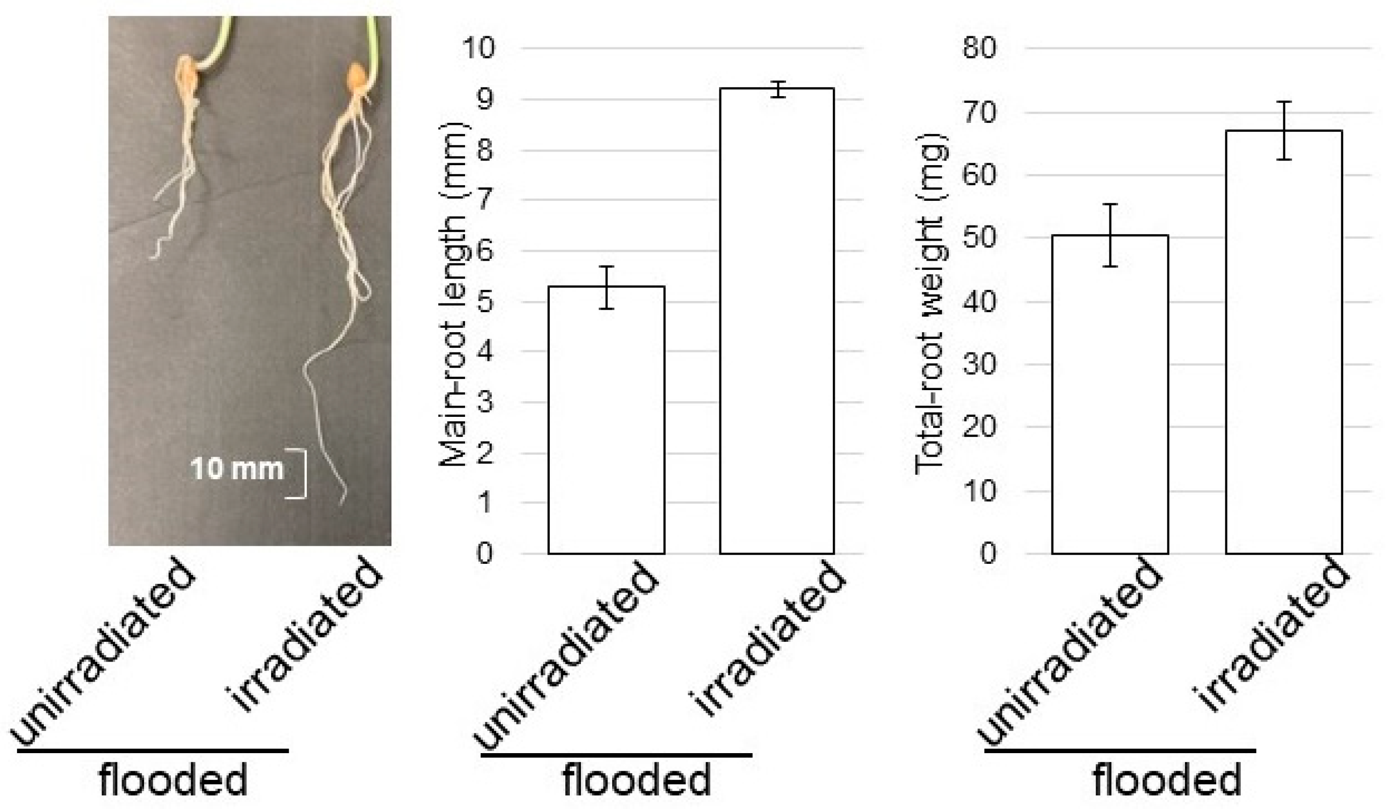 Ijms 24 09014 g008 Ijms 24 09014 g008