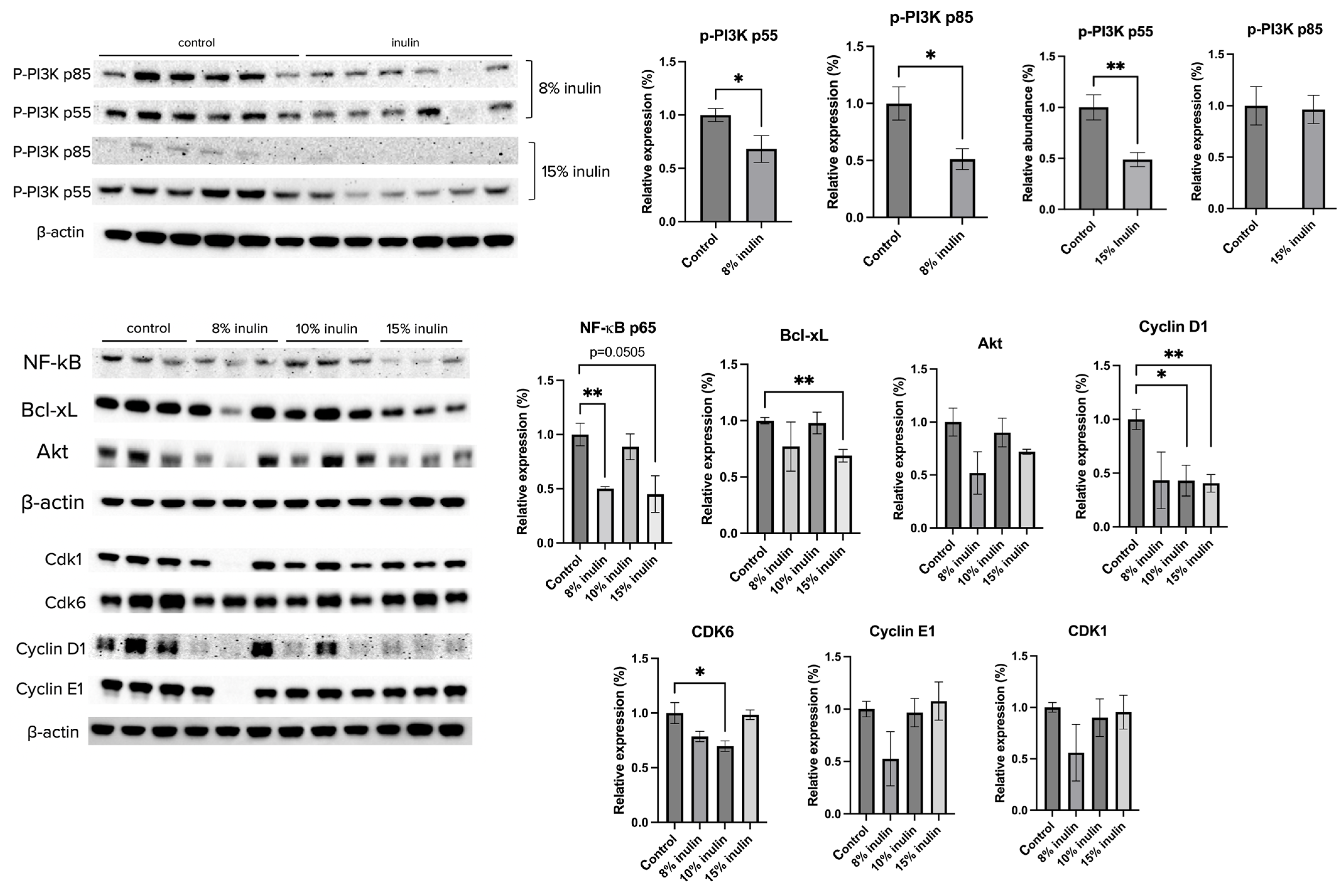 Ijms 24 09015 g006 Ijms 24 09015 g006