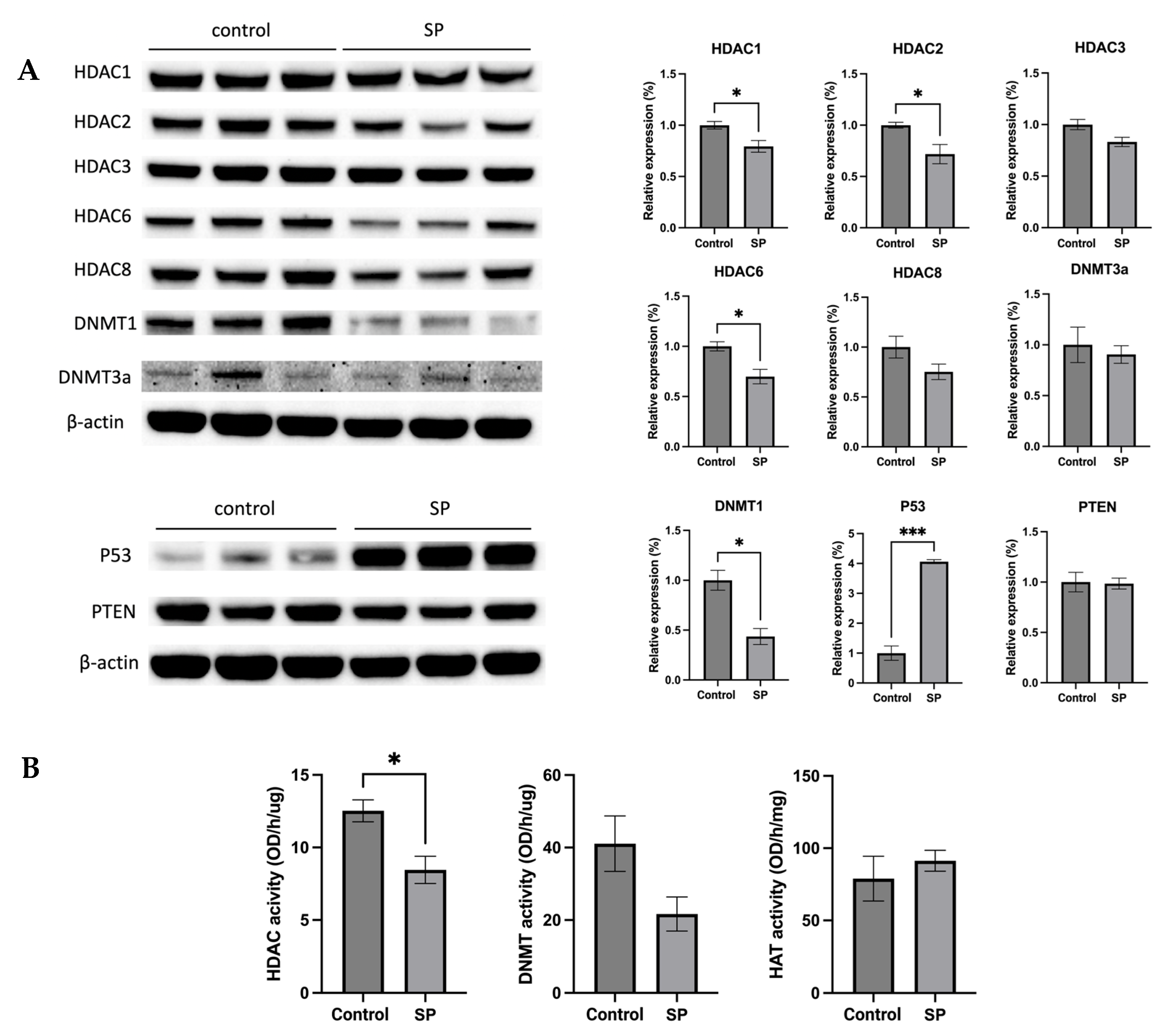 Ijms 24 09015 g011 Ijms 24 09015 g011