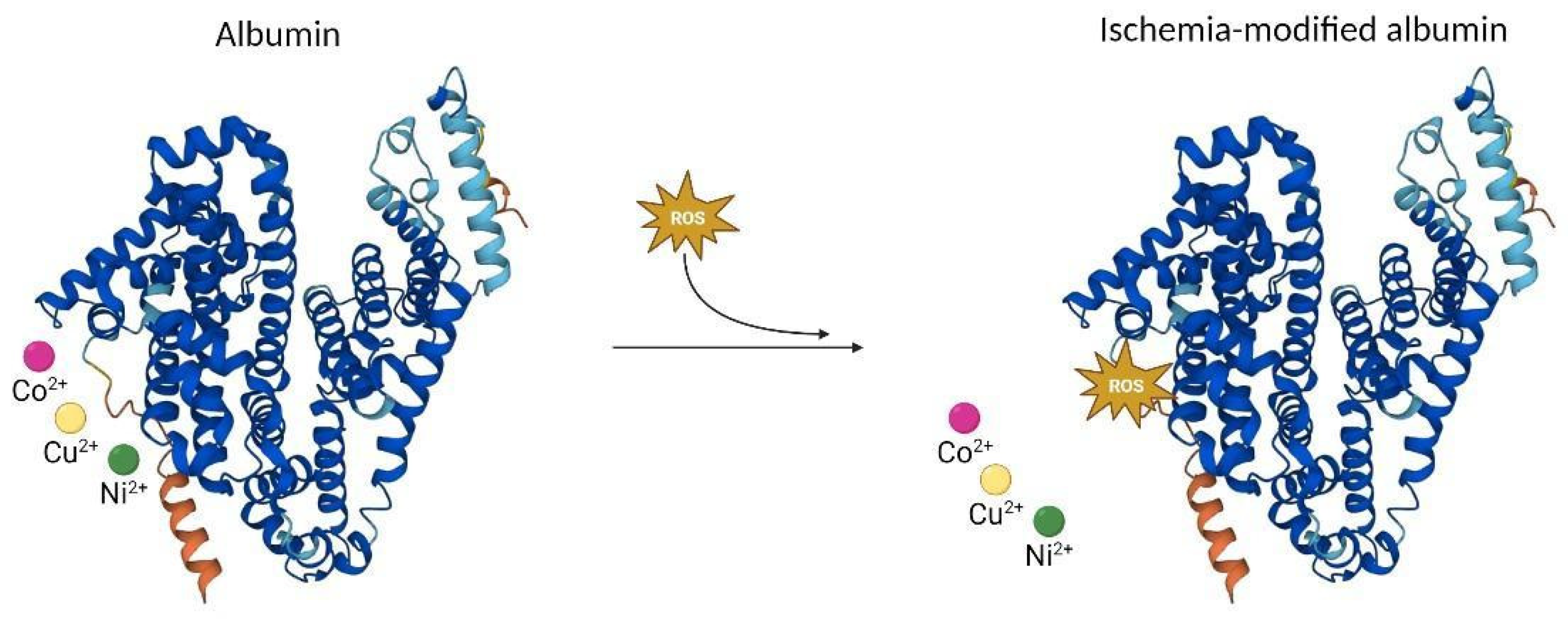 Ijms 24 09019 g002 Ijms 24 09019 g002