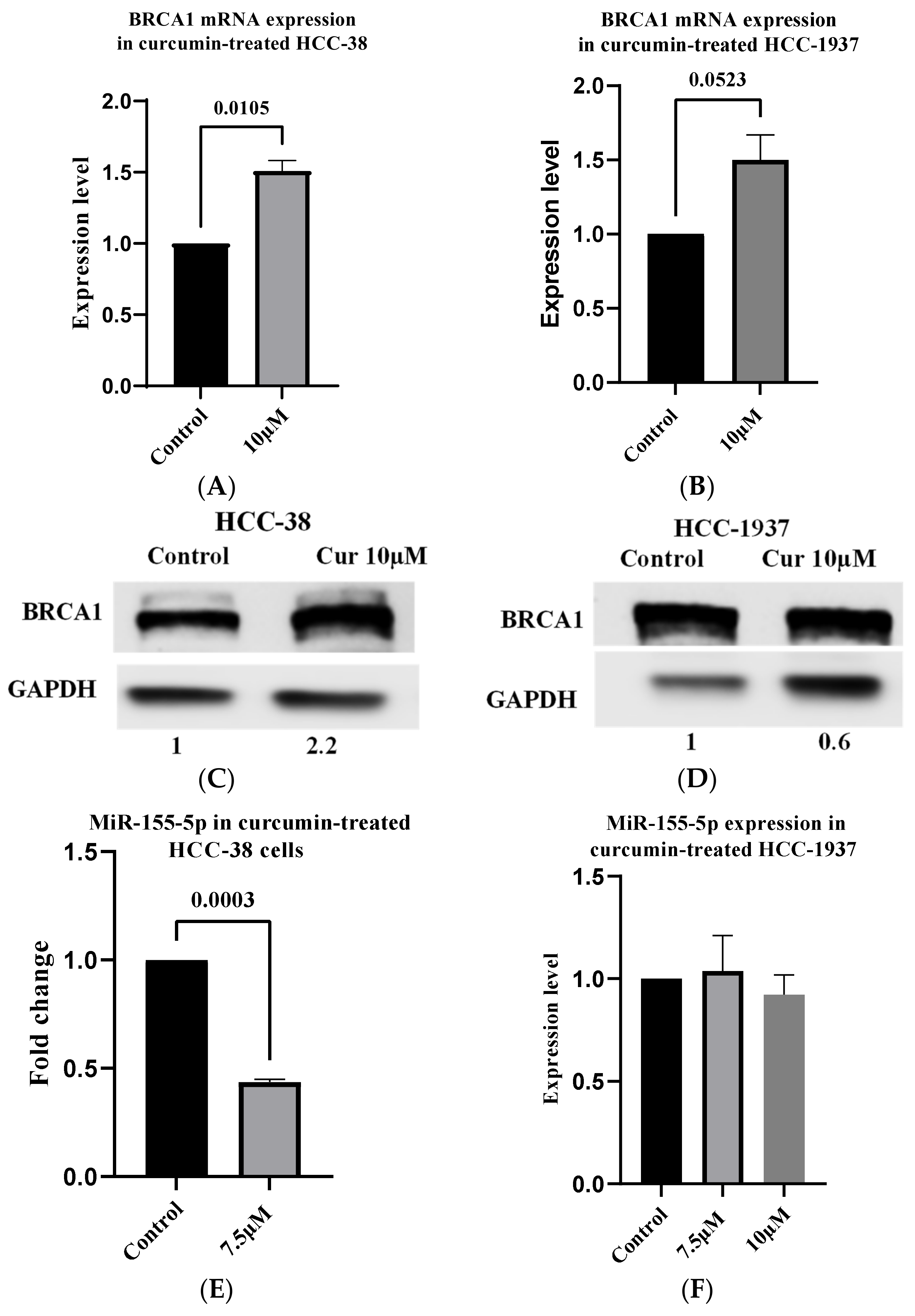 Ijms 24 09021 g002 Ijms 24 09021 g002