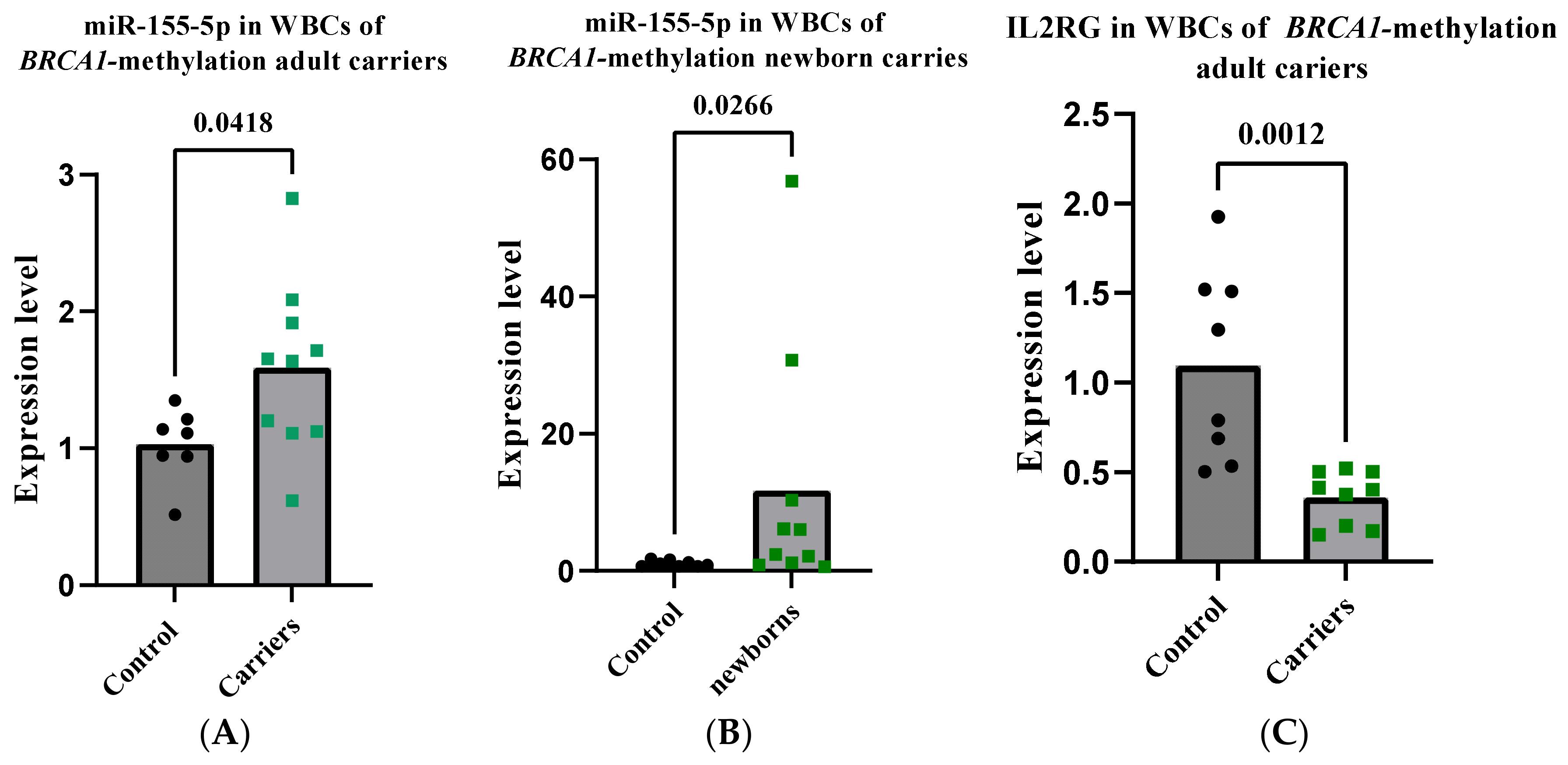 Ijms 24 09021 g006 Ijms 24 09021 g006