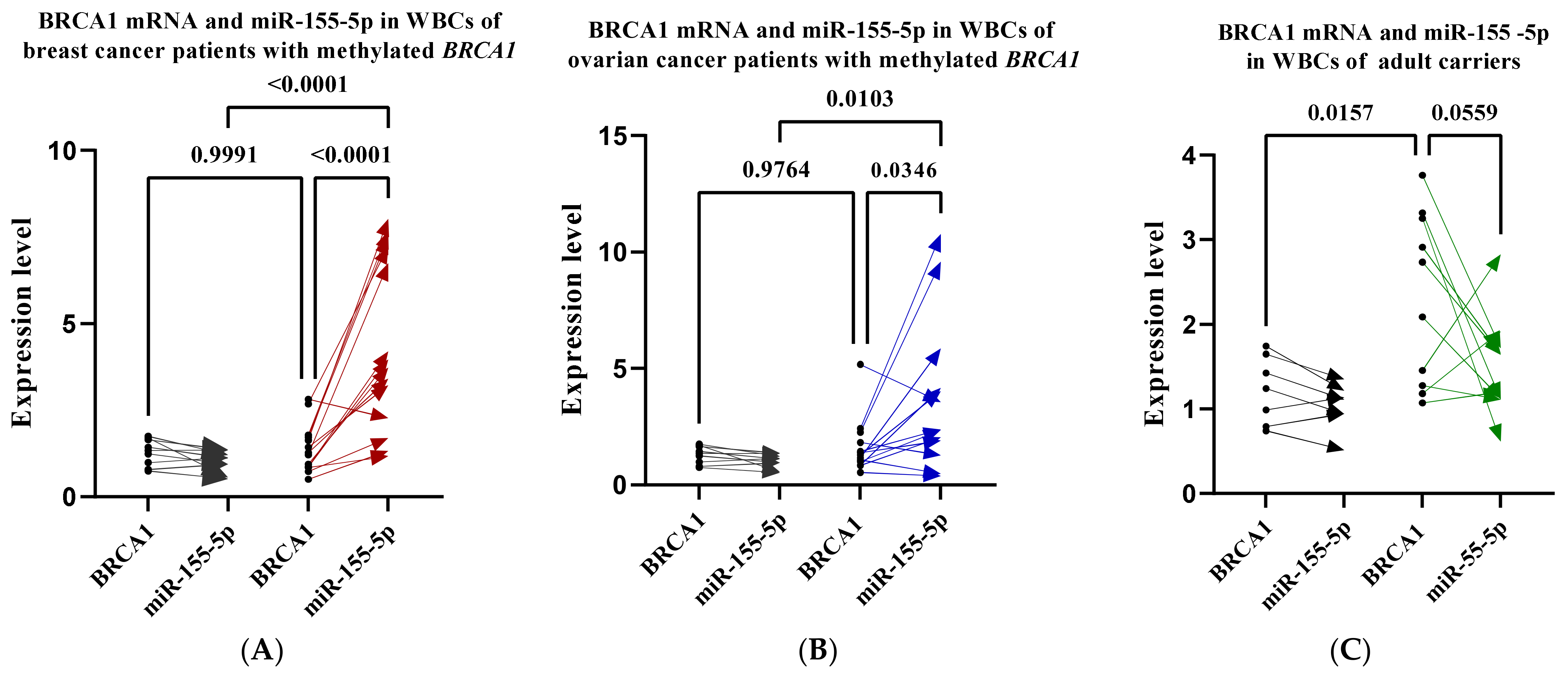 Ijms 24 09021 g007 Ijms 24 09021 g007