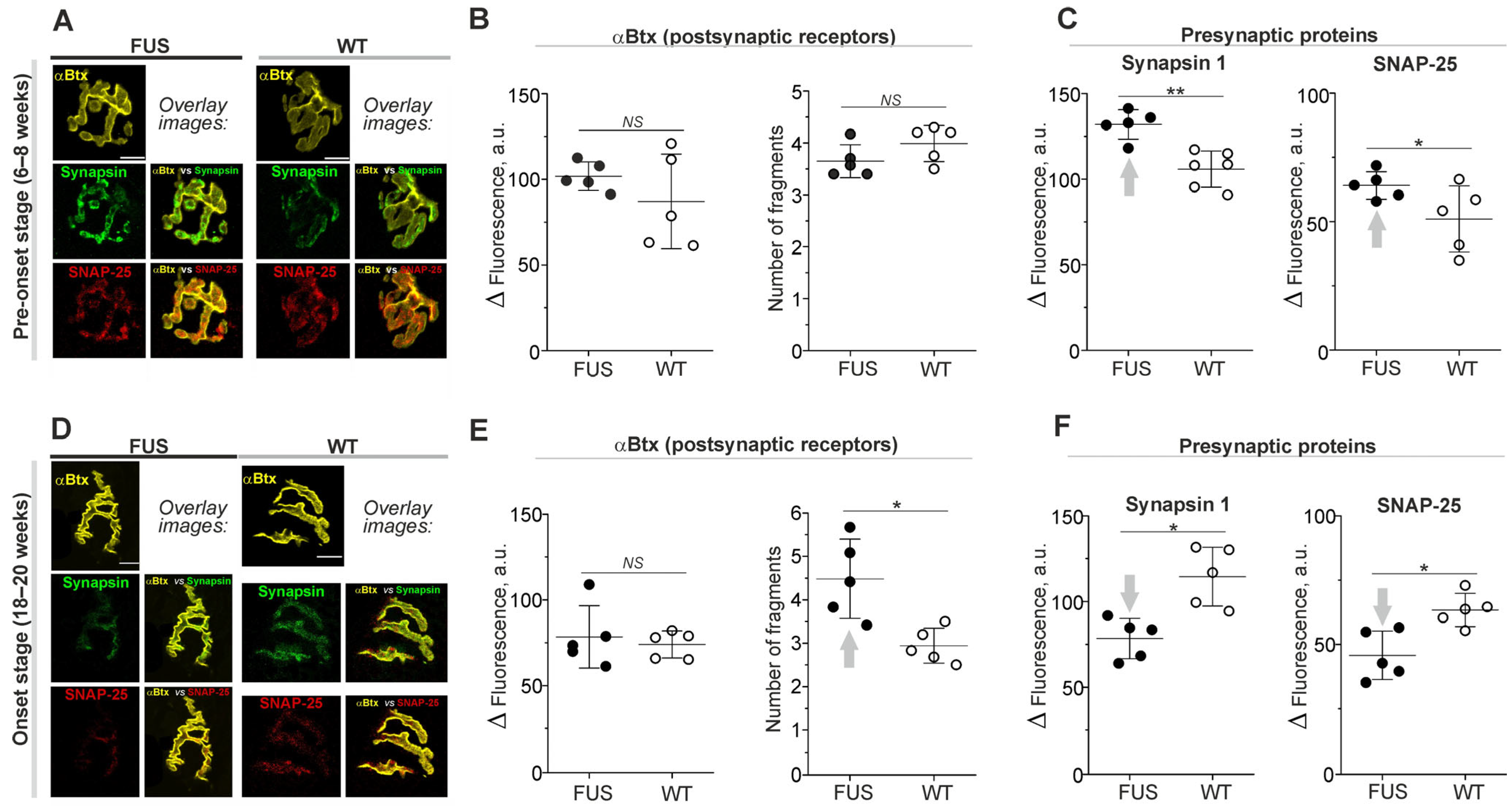 Ijms 24 09022 g001 Ijms 24 09022 g001