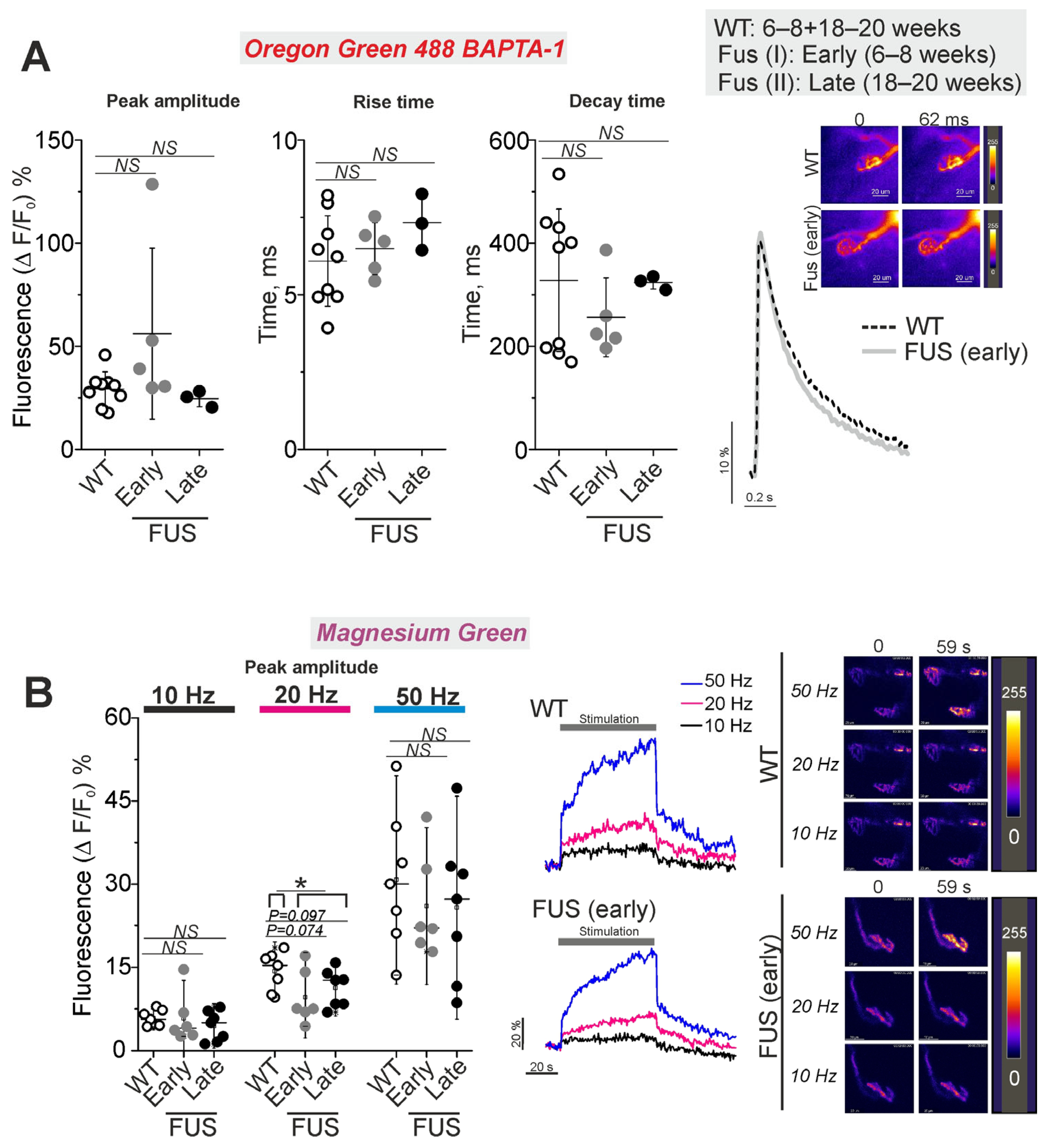 Ijms 24 09022 g007 Ijms 24 09022 g007